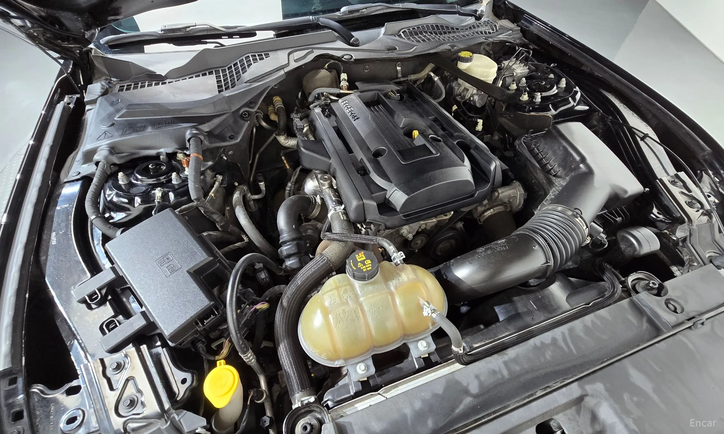 Ford Mustang превью 6