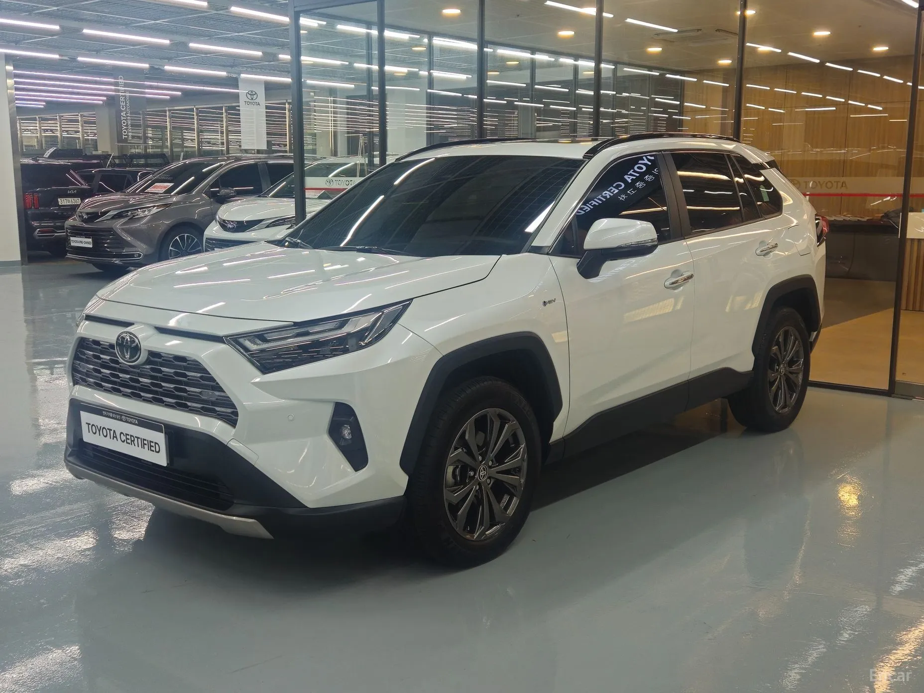 Toyota RAV4 5th Generation