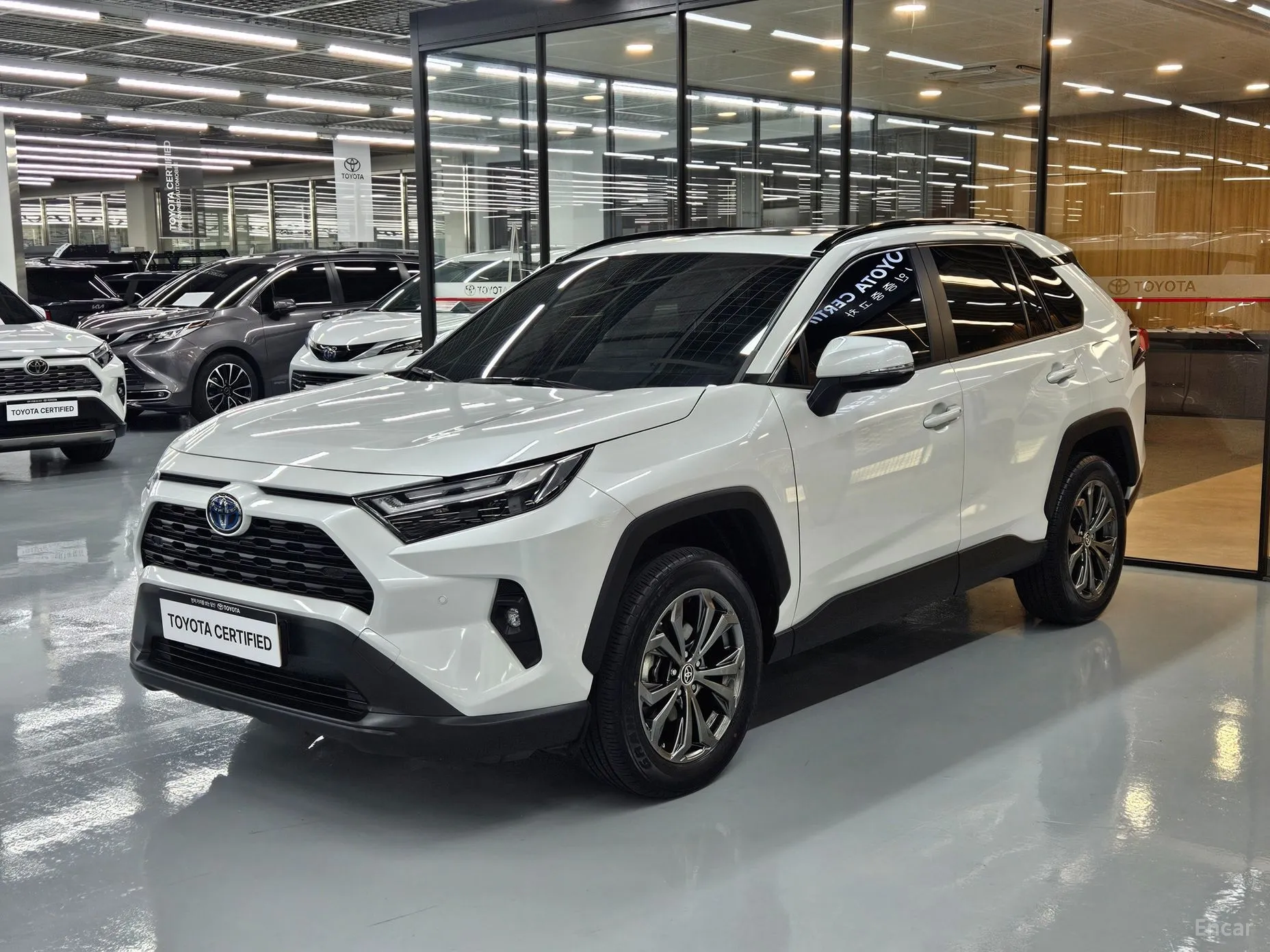 Toyota RAV4 5th Generation