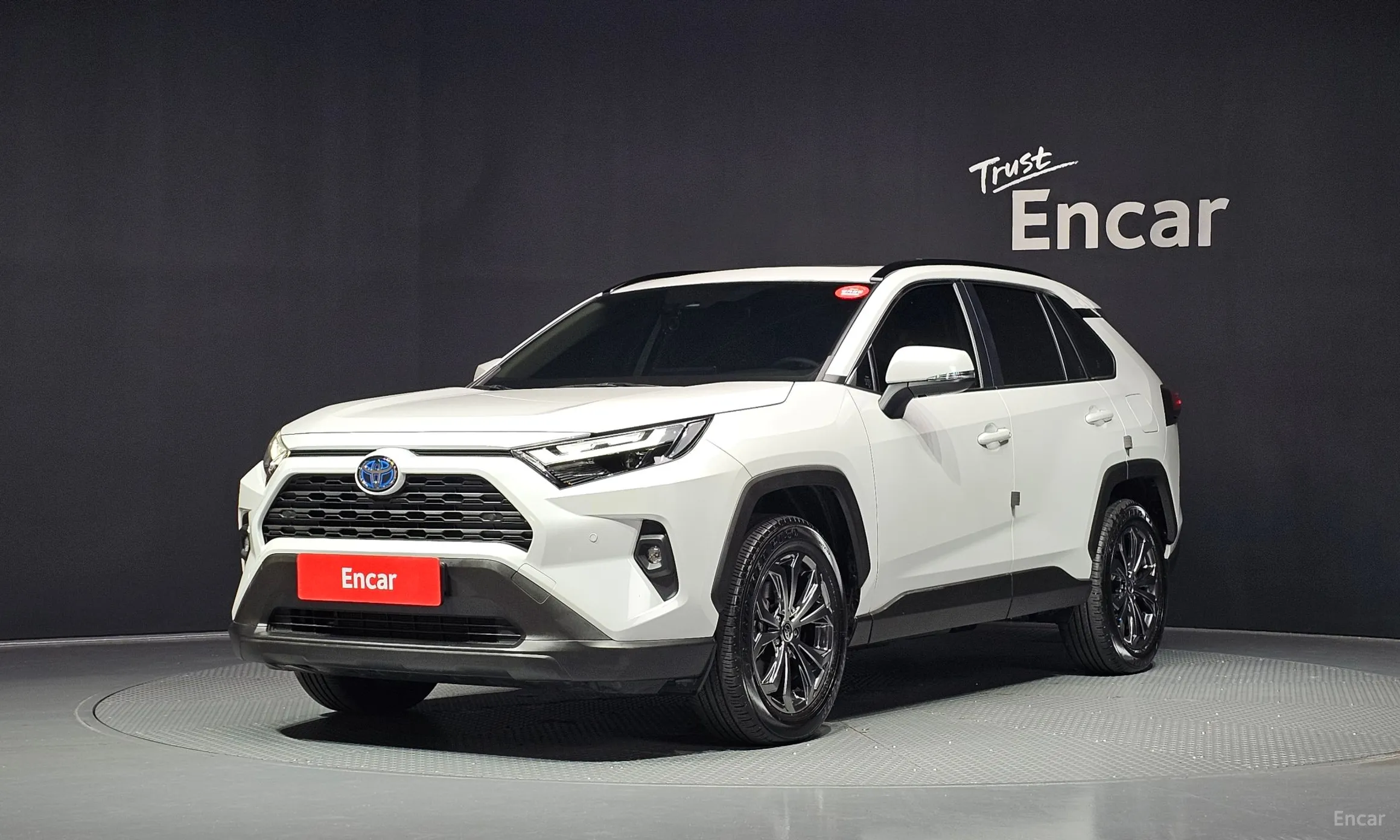 Toyota RAV4 5th Generation