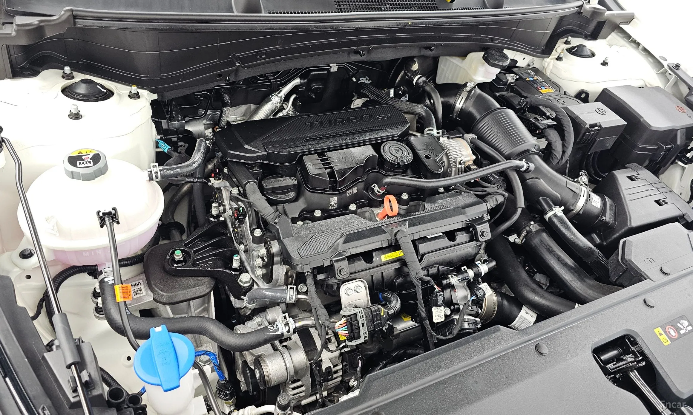 Kia Sportage 5th Generation превью 6