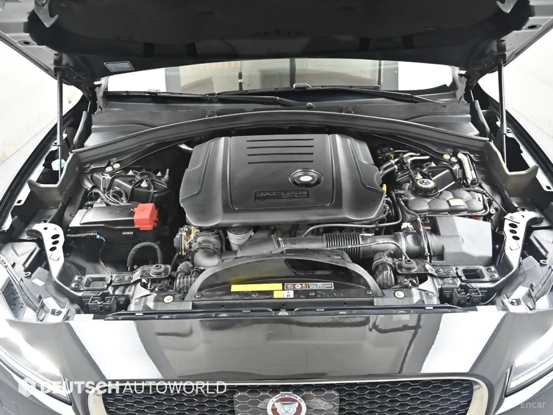 Jaguar F-PACE превью 6