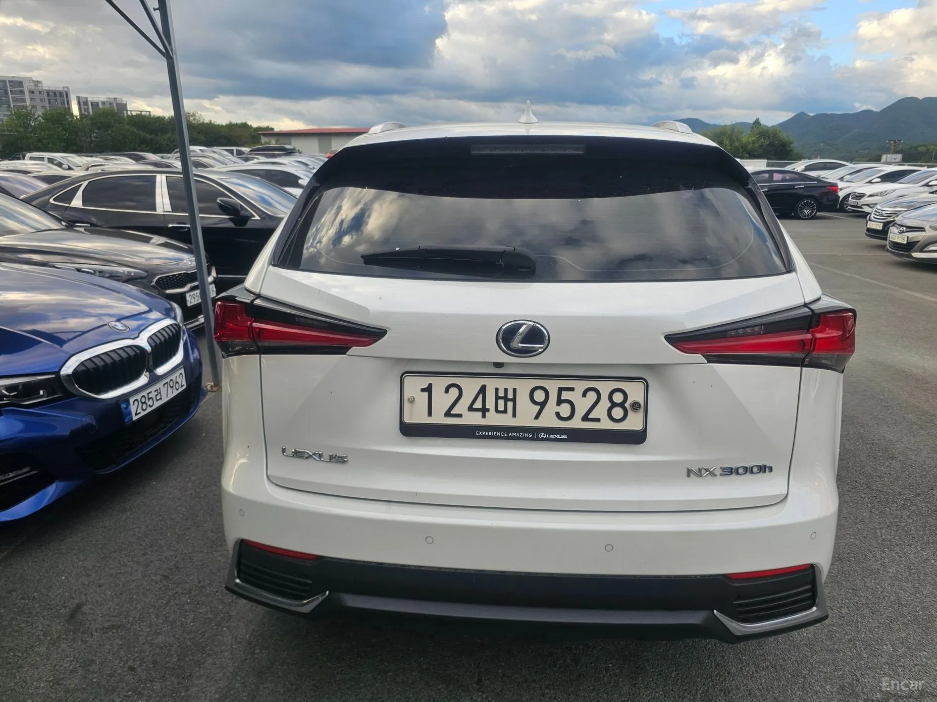 Lexus NX300h
