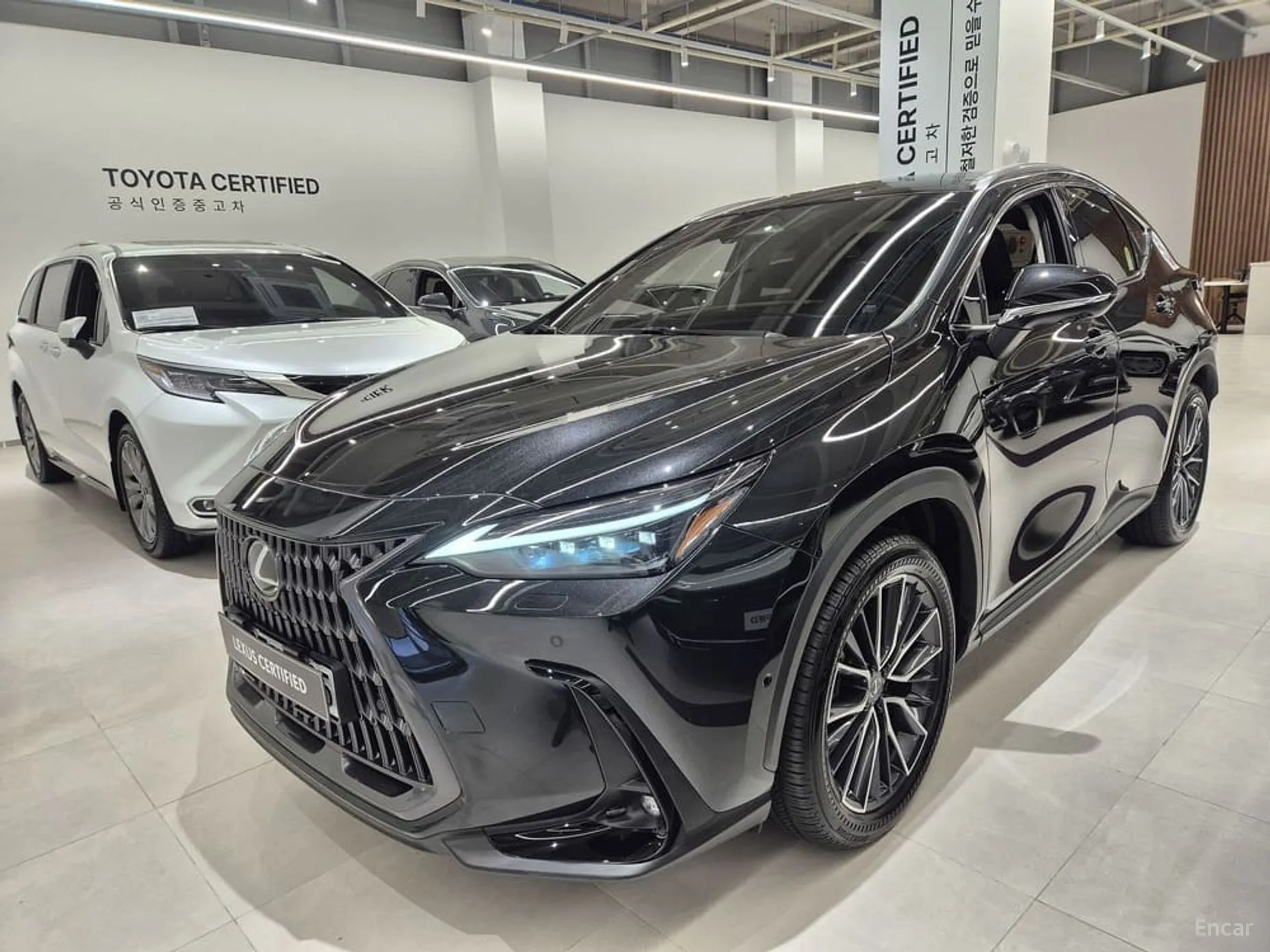 Lexus NX350h Gen 2