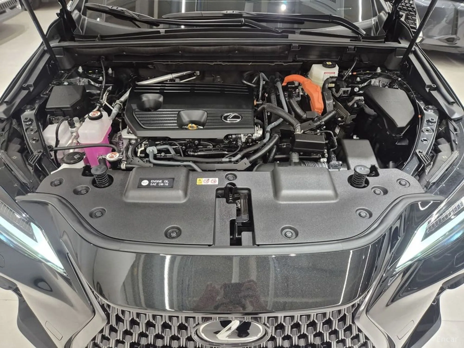 Lexus NX350h Gen 2 превью 6