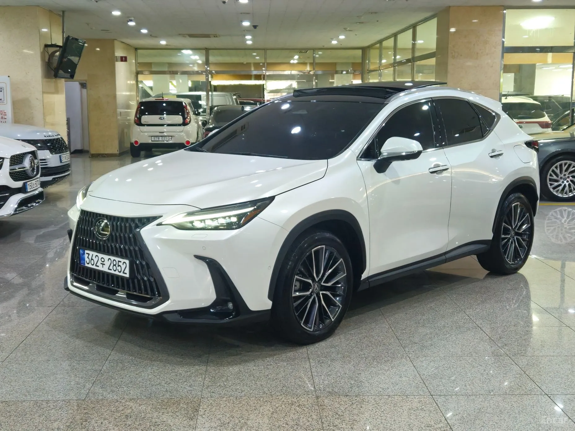 Lexus NX350h Gen 2