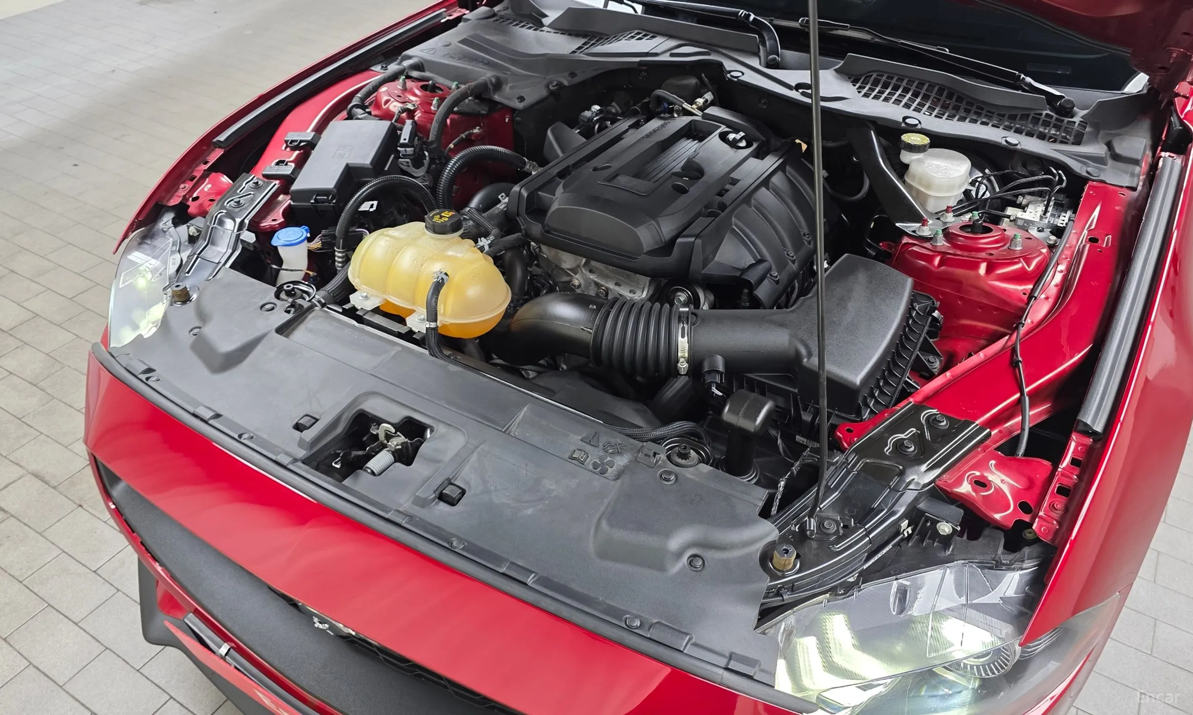 Ford Mustang превью 6