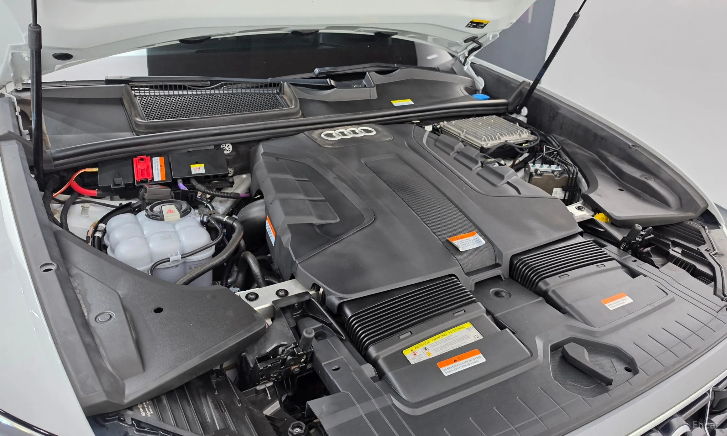 Audi Q8 (4M) превью 6