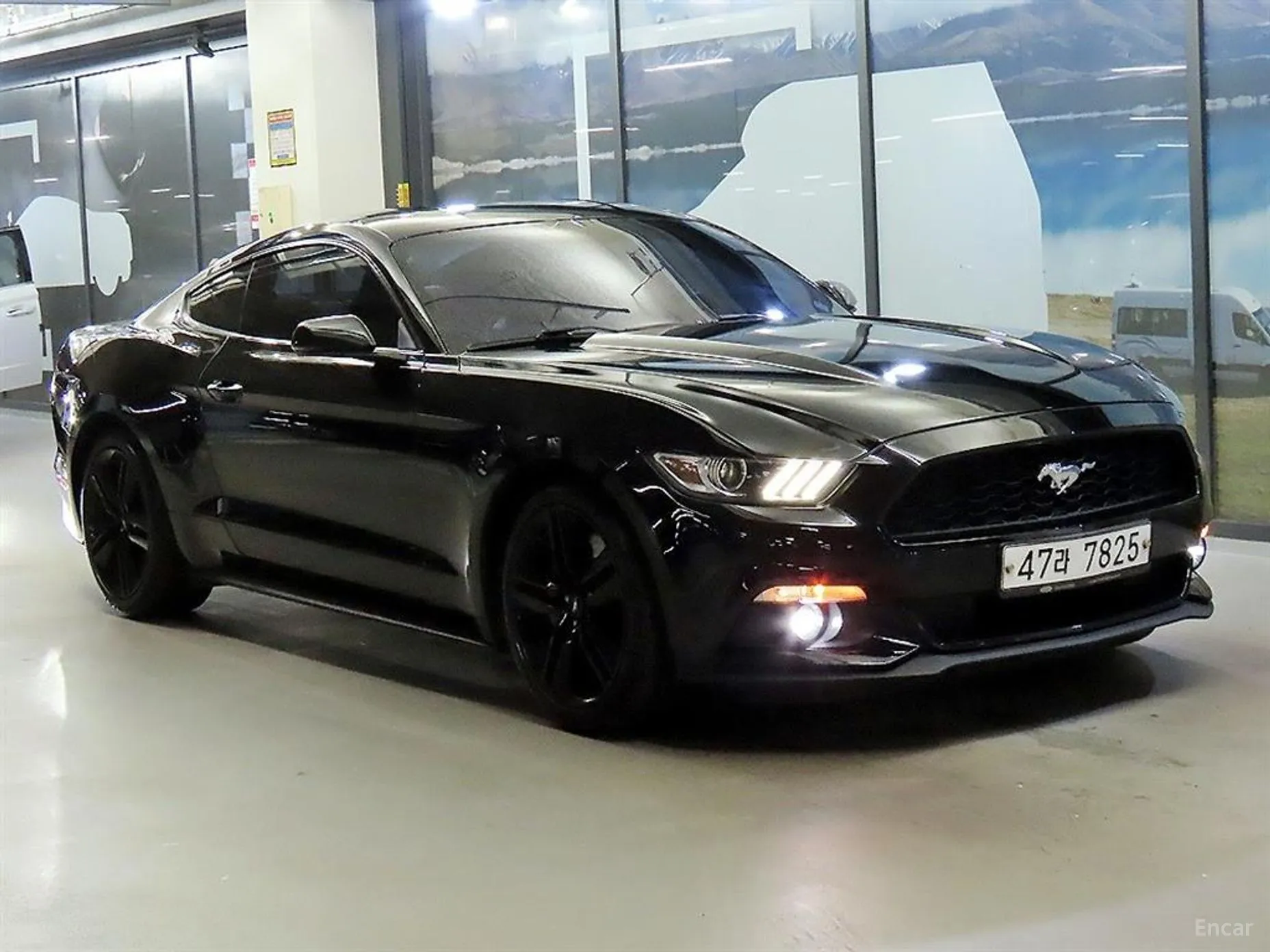 Mustang