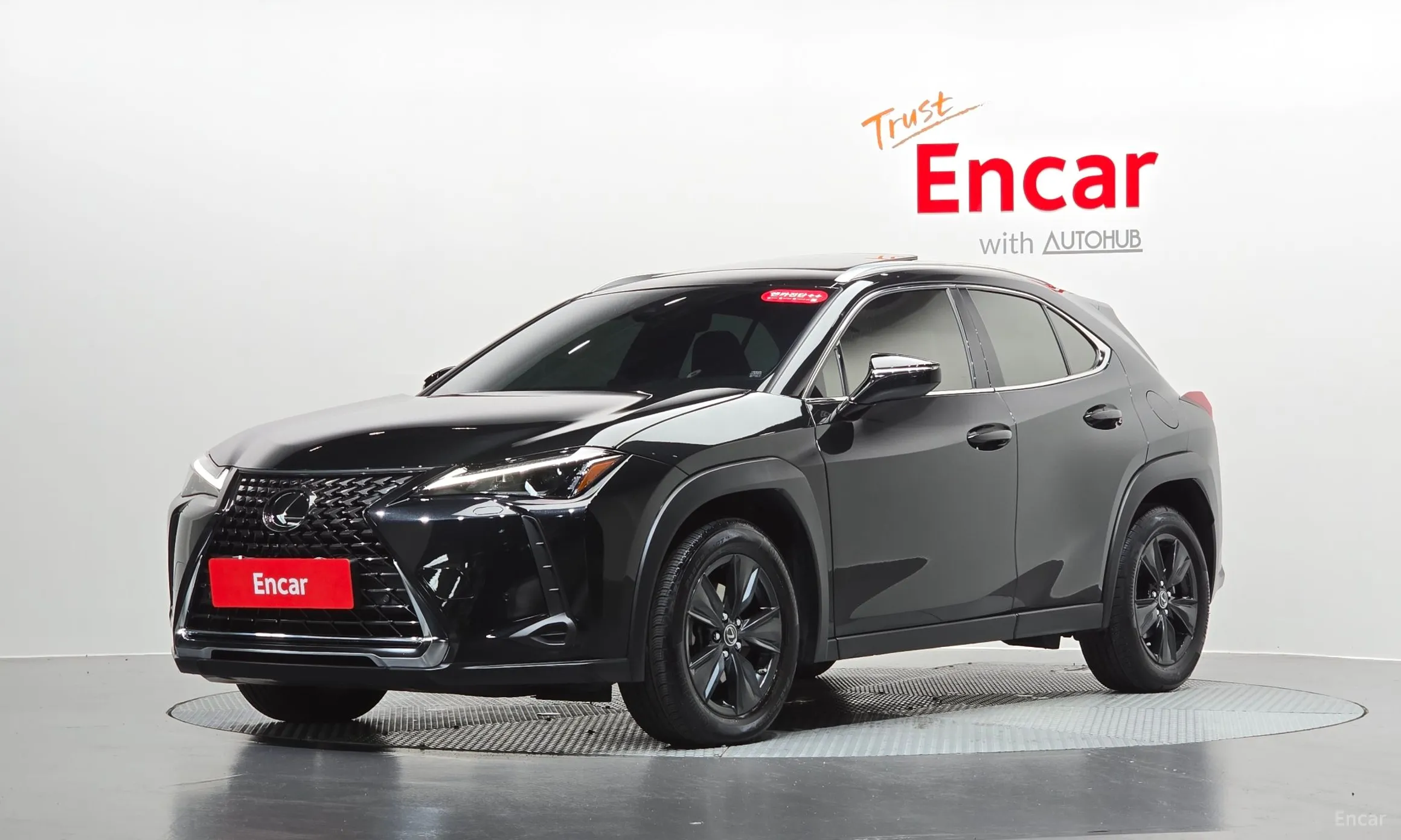 Lexus UX250h