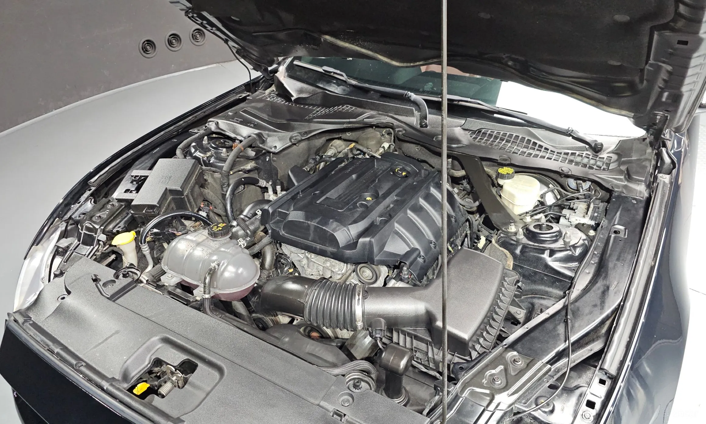 Ford Mustang превью 6