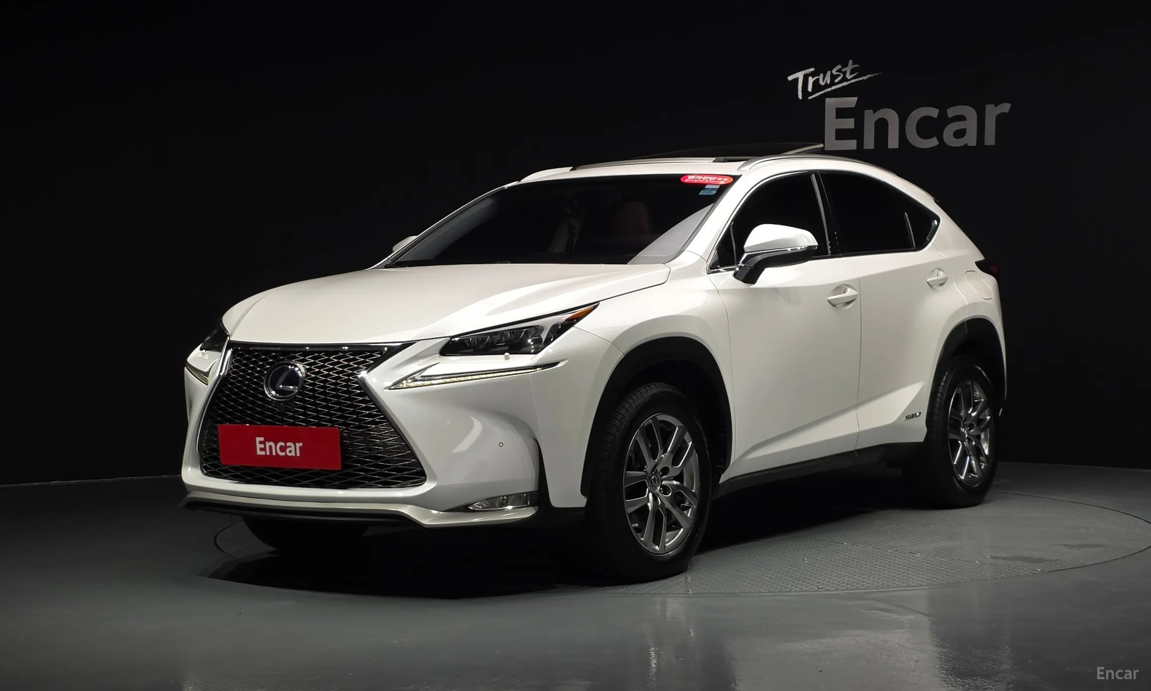 Lexus NX300h