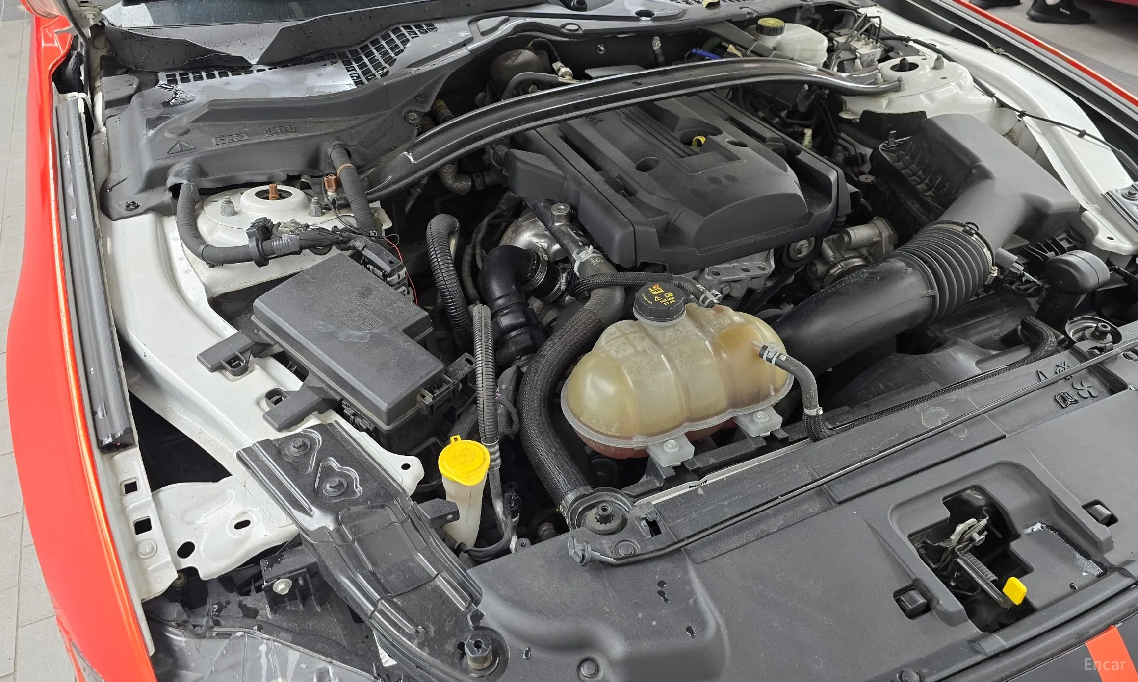 Ford Mustang превью 6