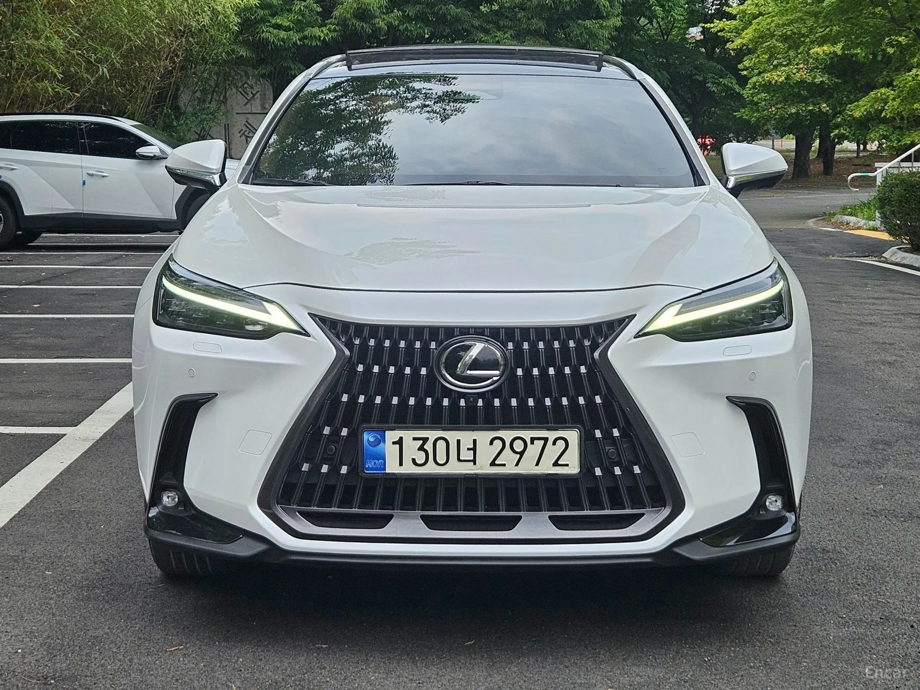 Lexus NX350h Gen 2