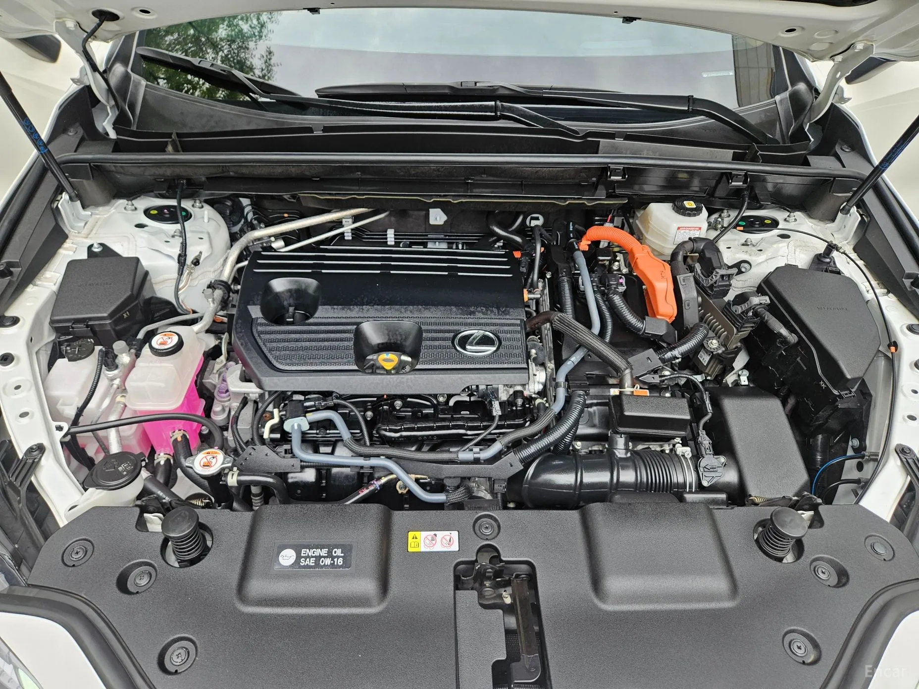 Lexus NX350h Gen 2 превью 14