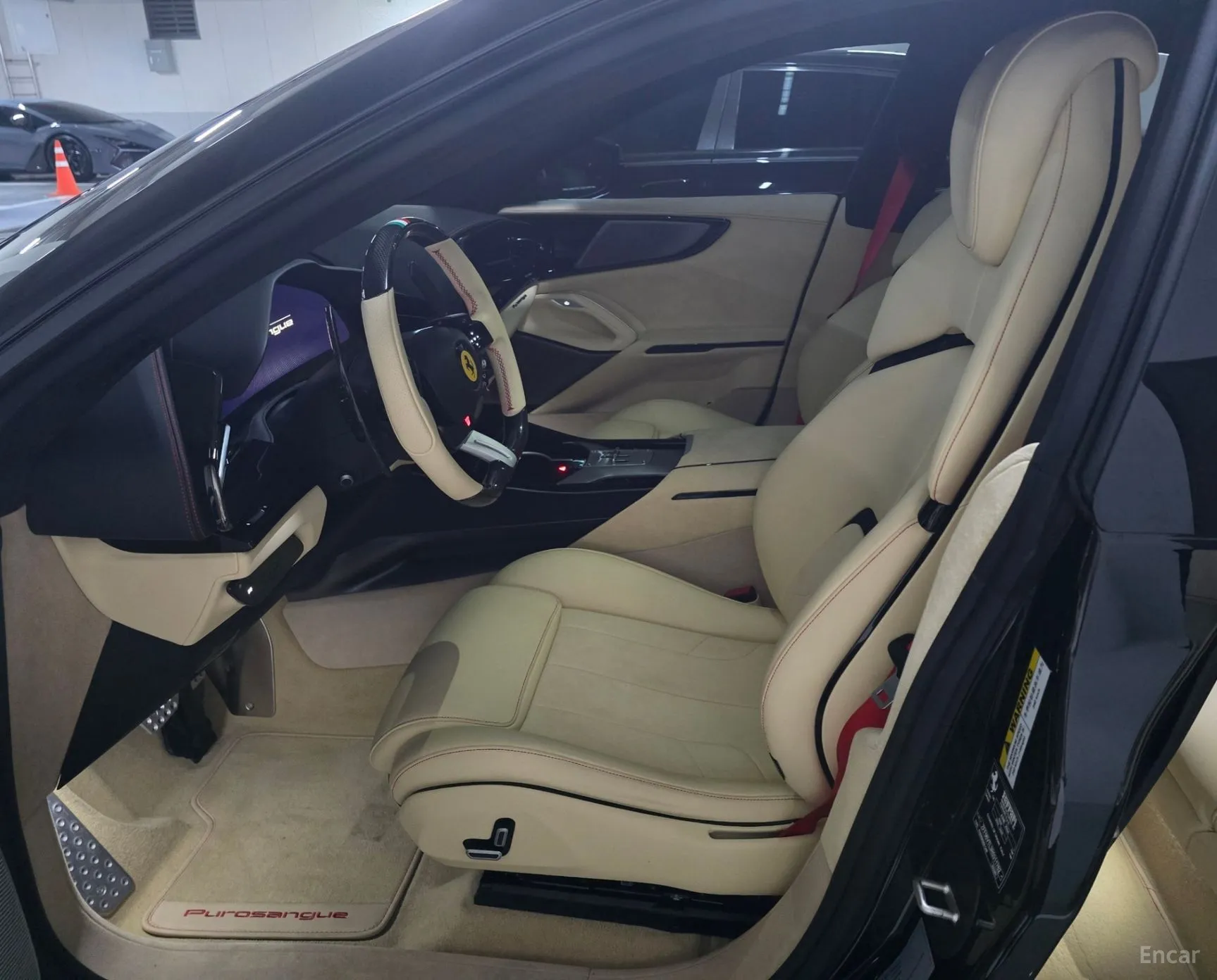 Ferrari Puro Sange превью 10