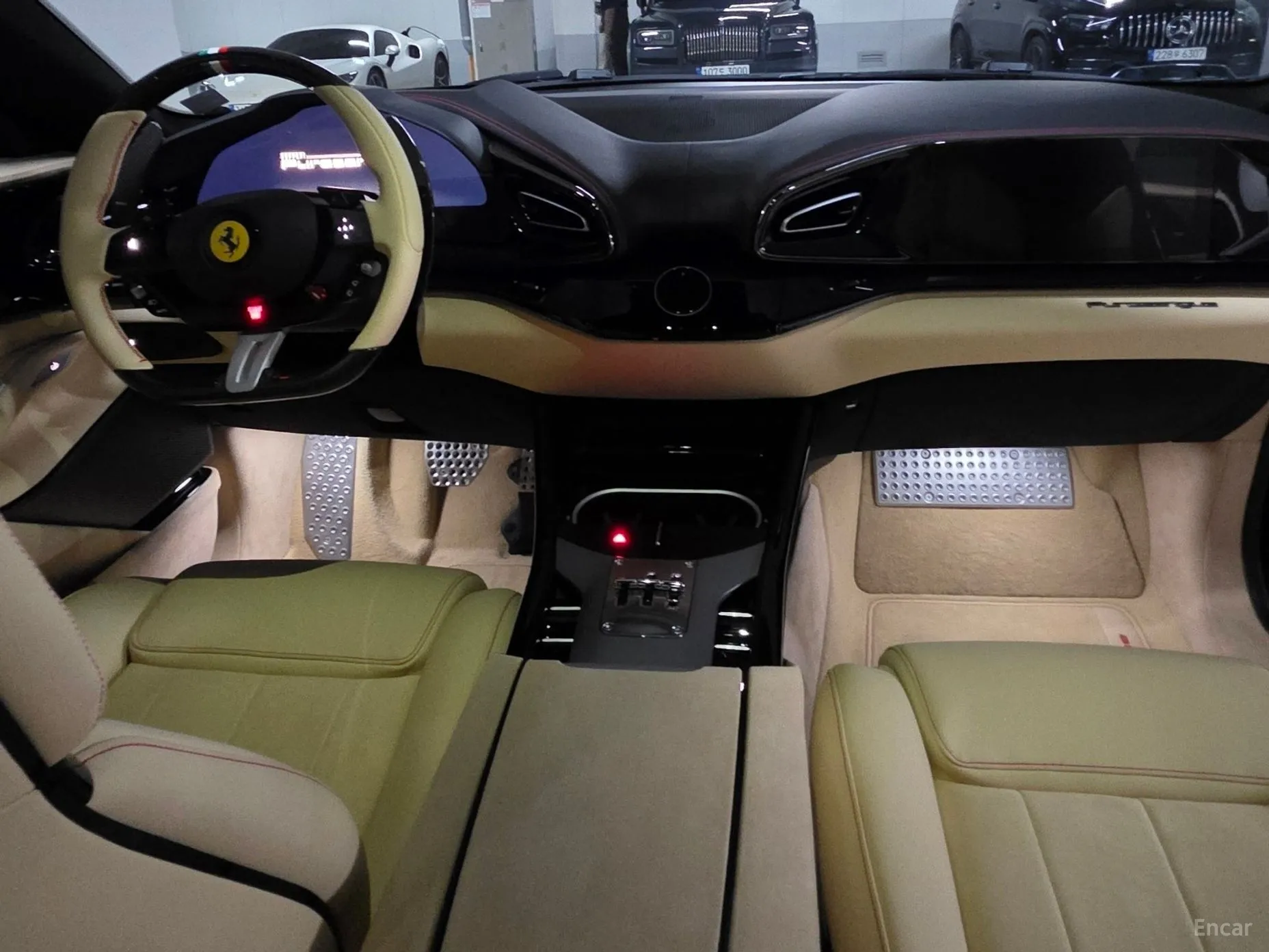 Ferrari Puro Sange превью 13