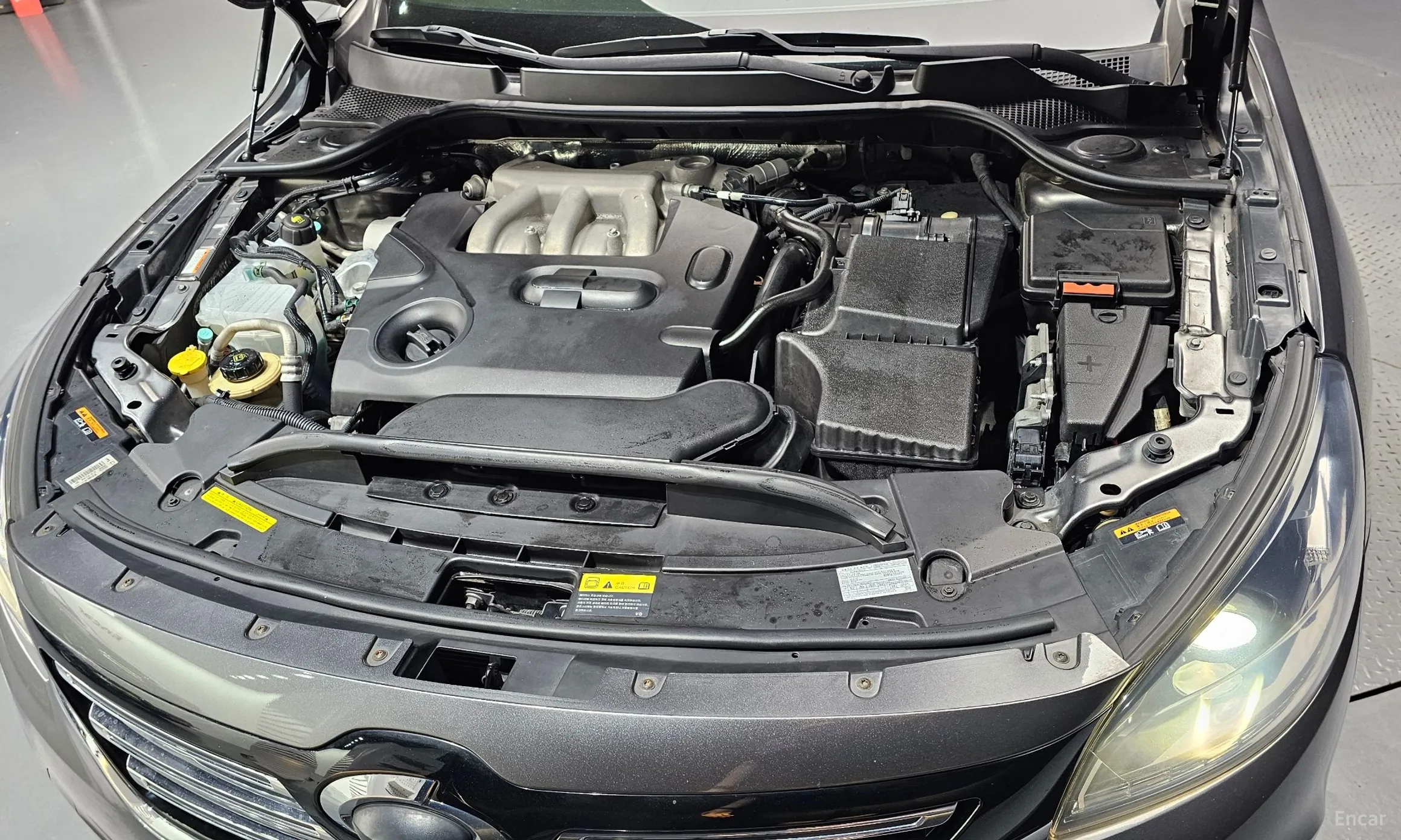 Renault Korea (Samsung) SM7 превью 6