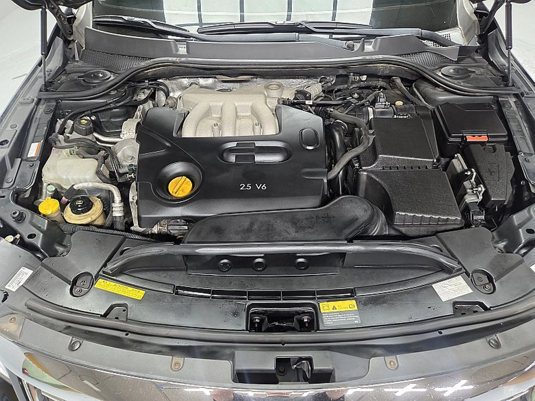 Renault Korea (Samsung) SM7 превью 10