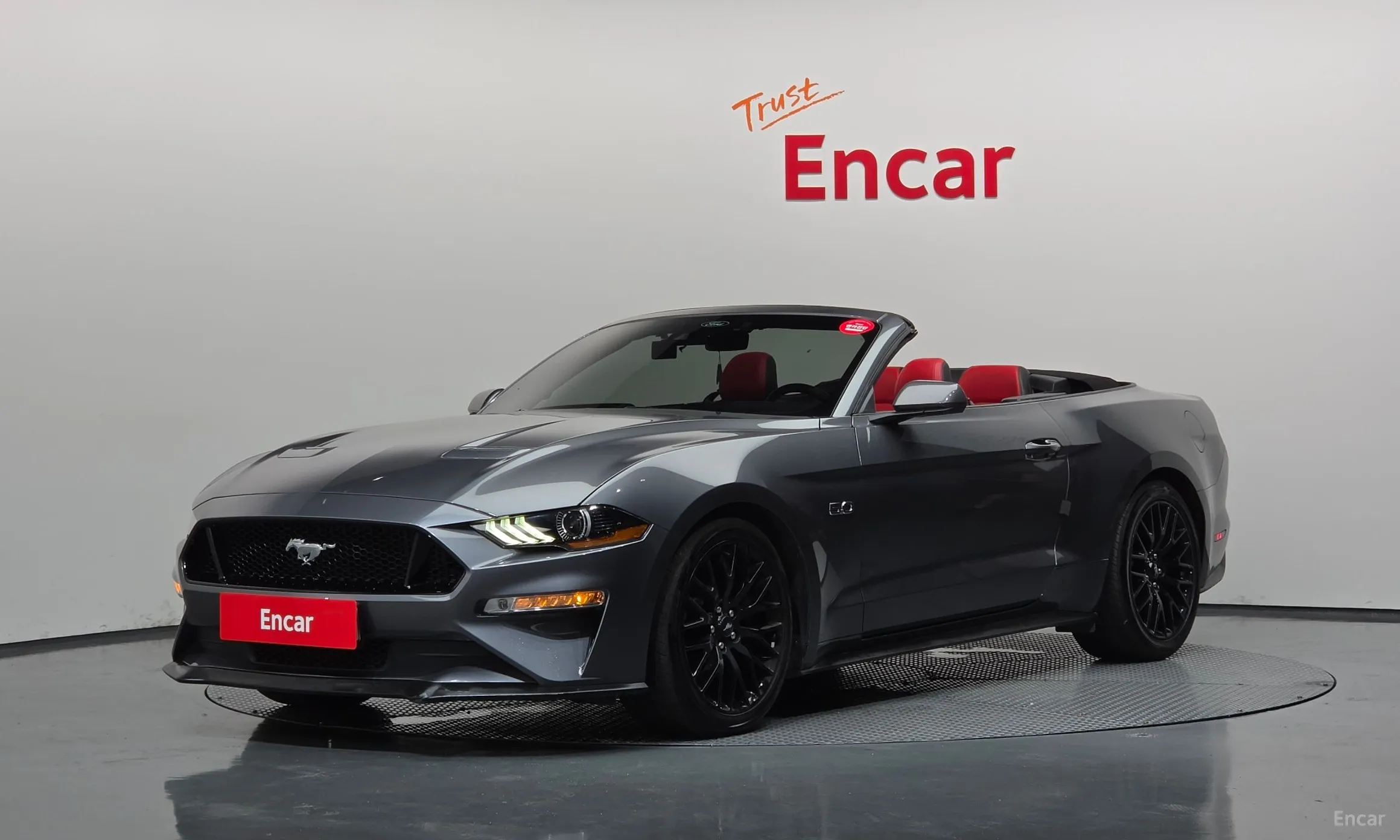 Mustang