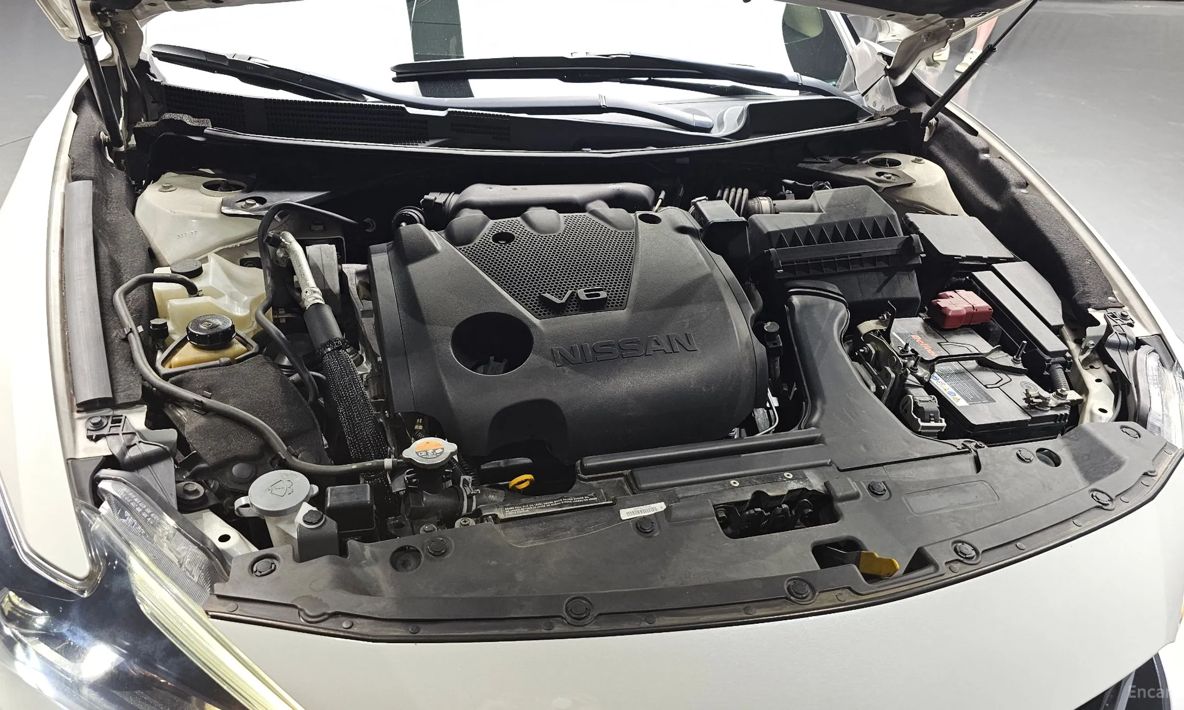 Nissan Maxima (A36) превью 6