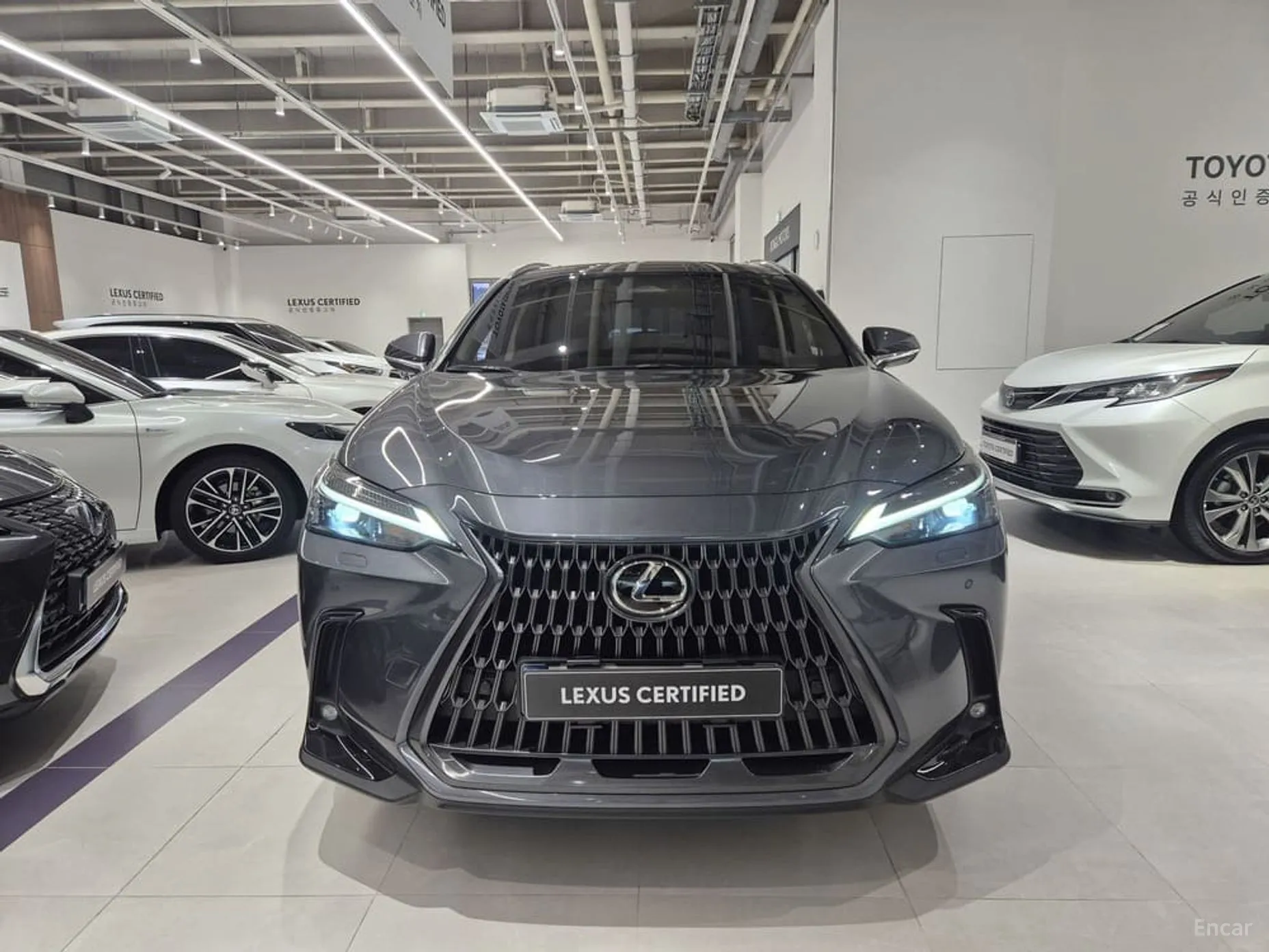 Lexus NX350h Gen 2 превью 3