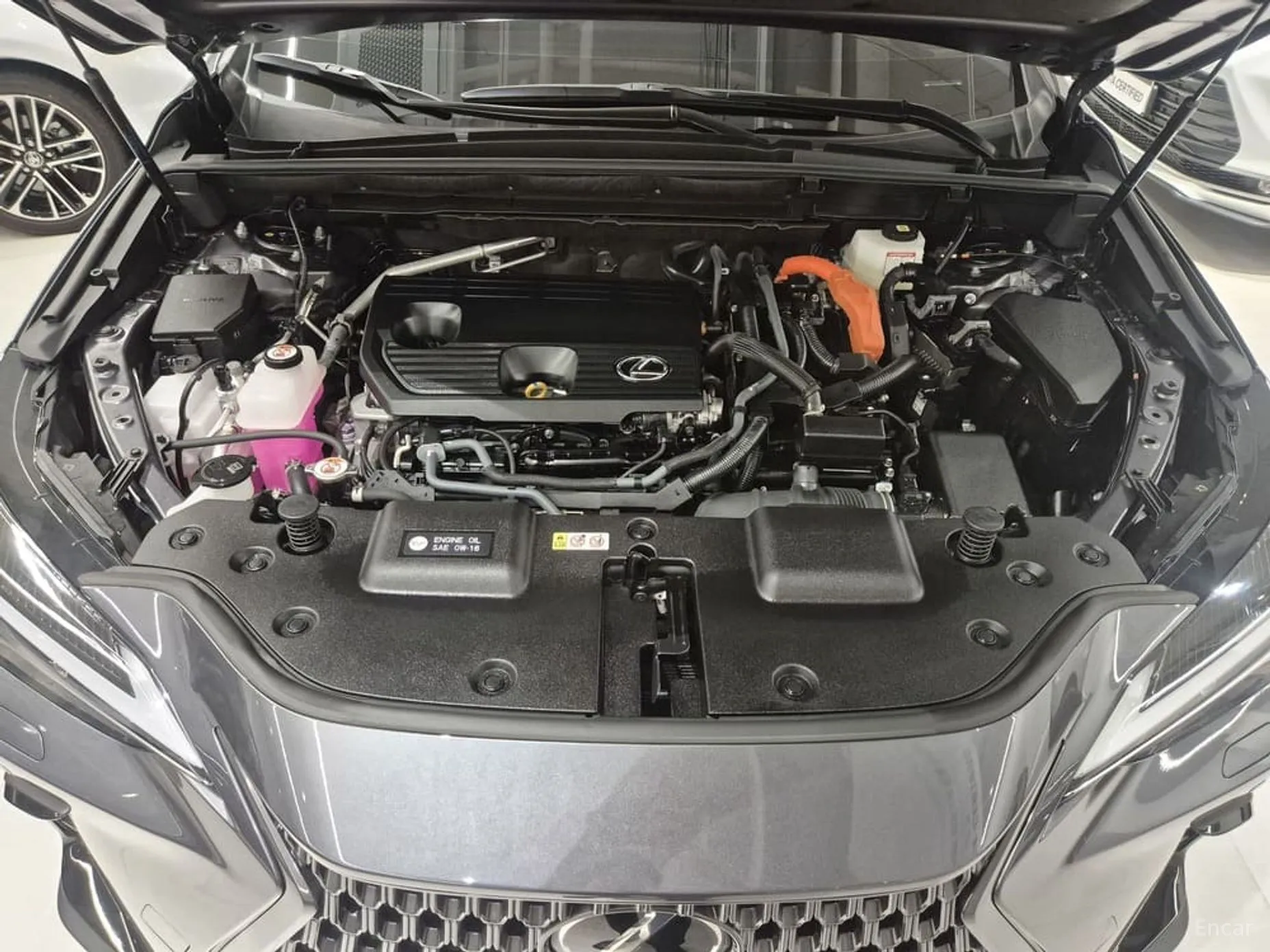 Lexus NX350h Gen 2 превью 6