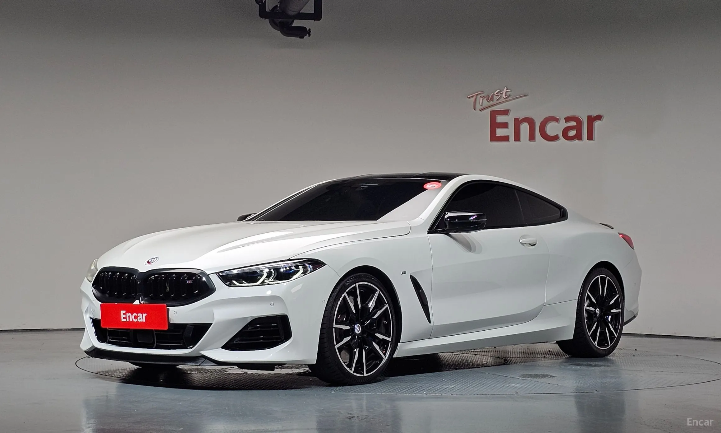 BMW 8-series (G15)