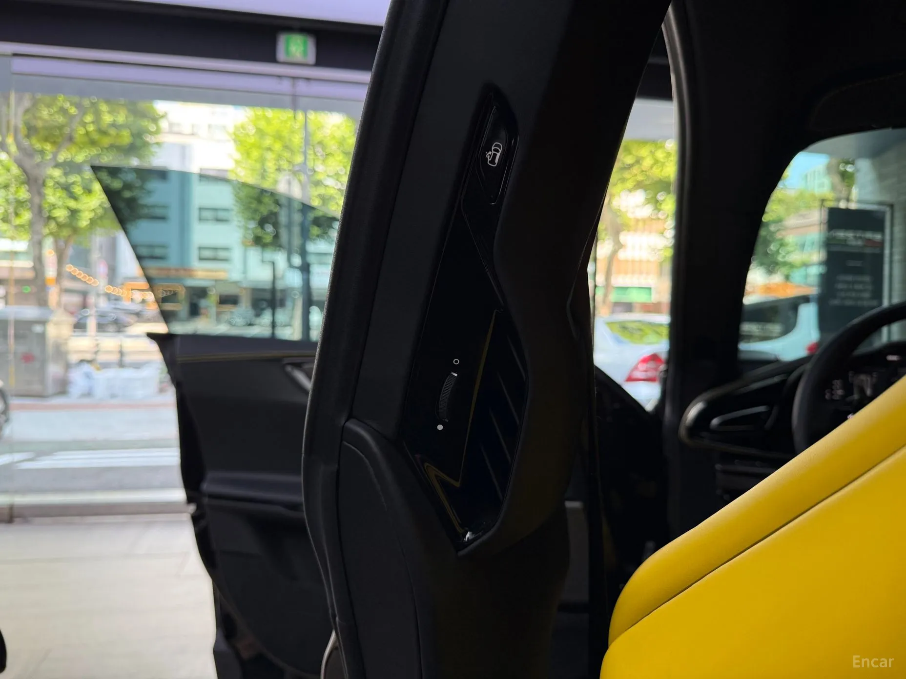 Ferrari Puro Sange превью 19