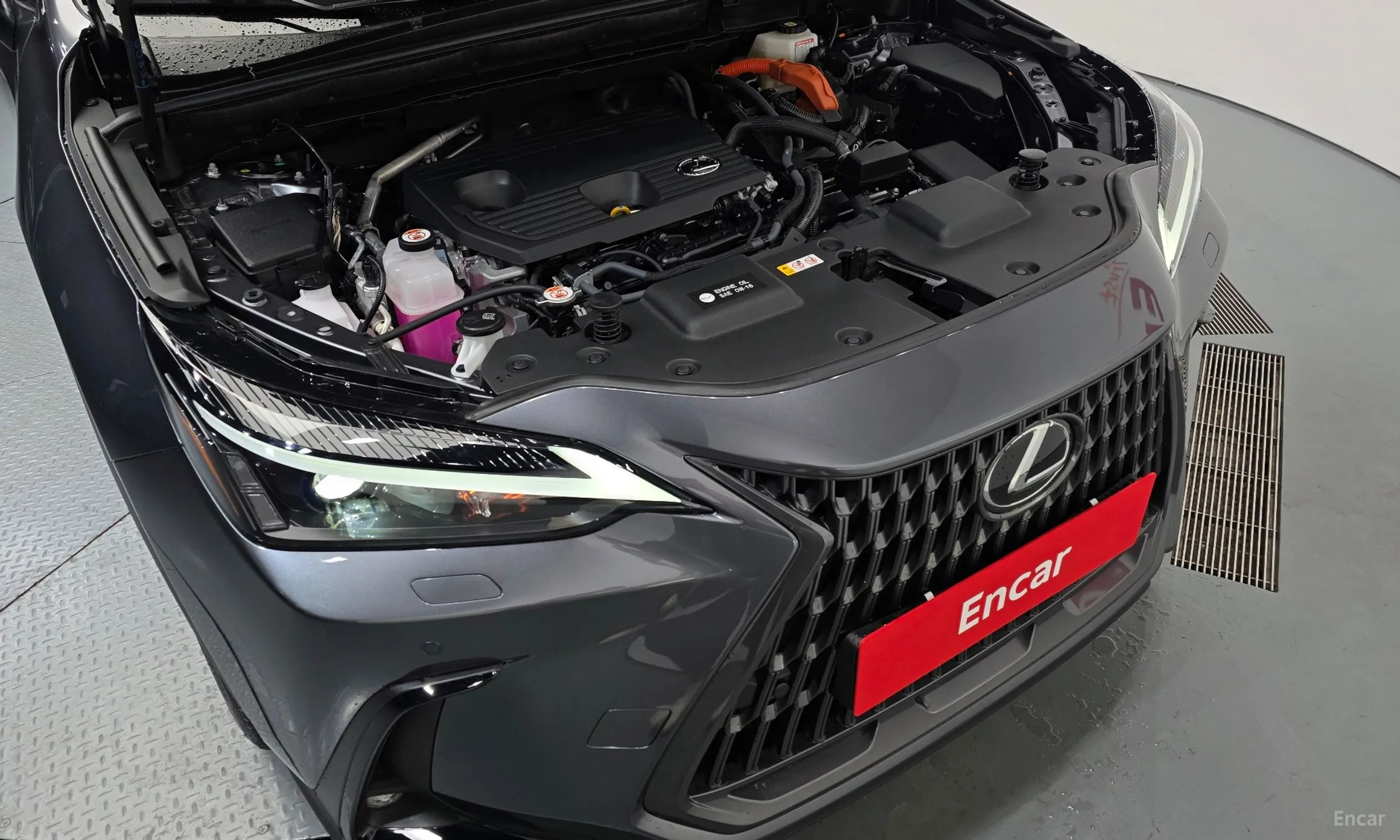 Lexus NX350h Gen 2 превью 6