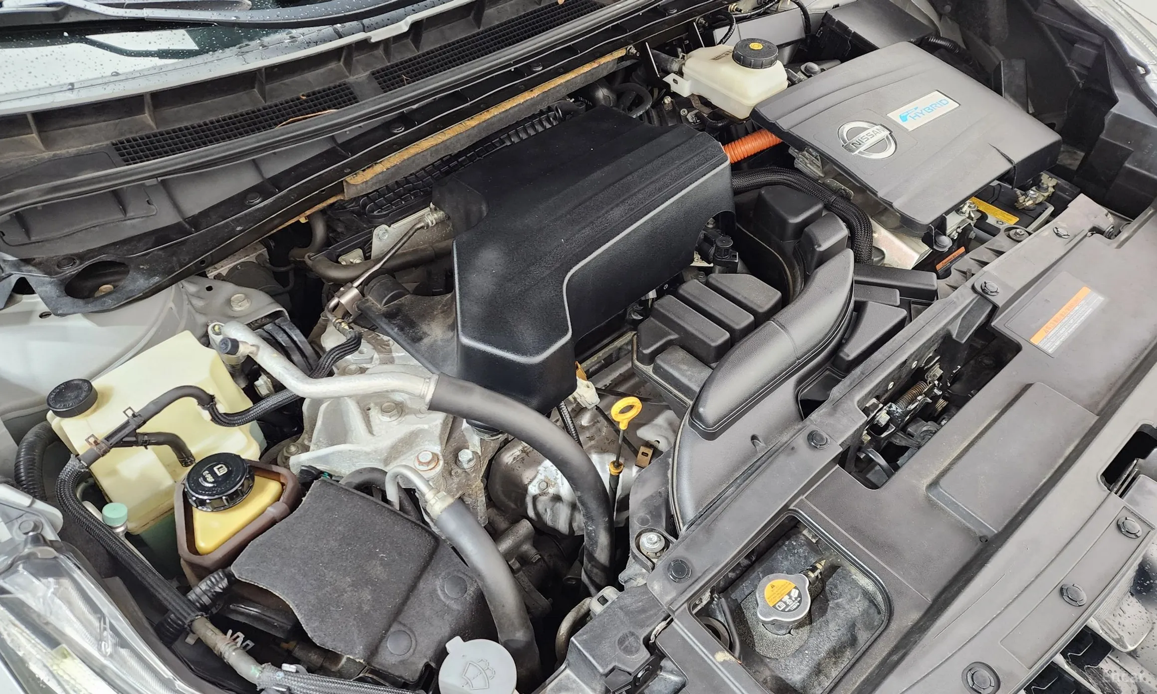 Nissan Murano (Z52) превью 6