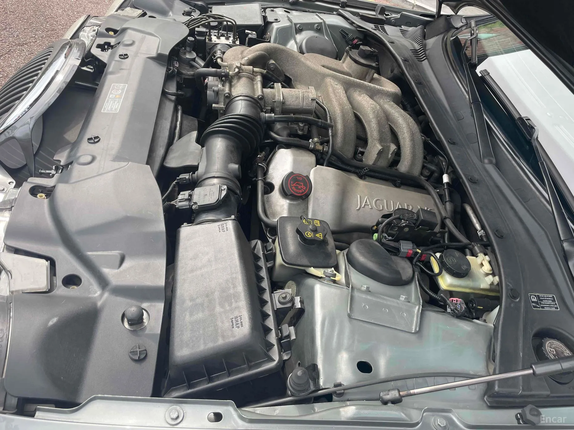 Jaguar %s type. превью 17