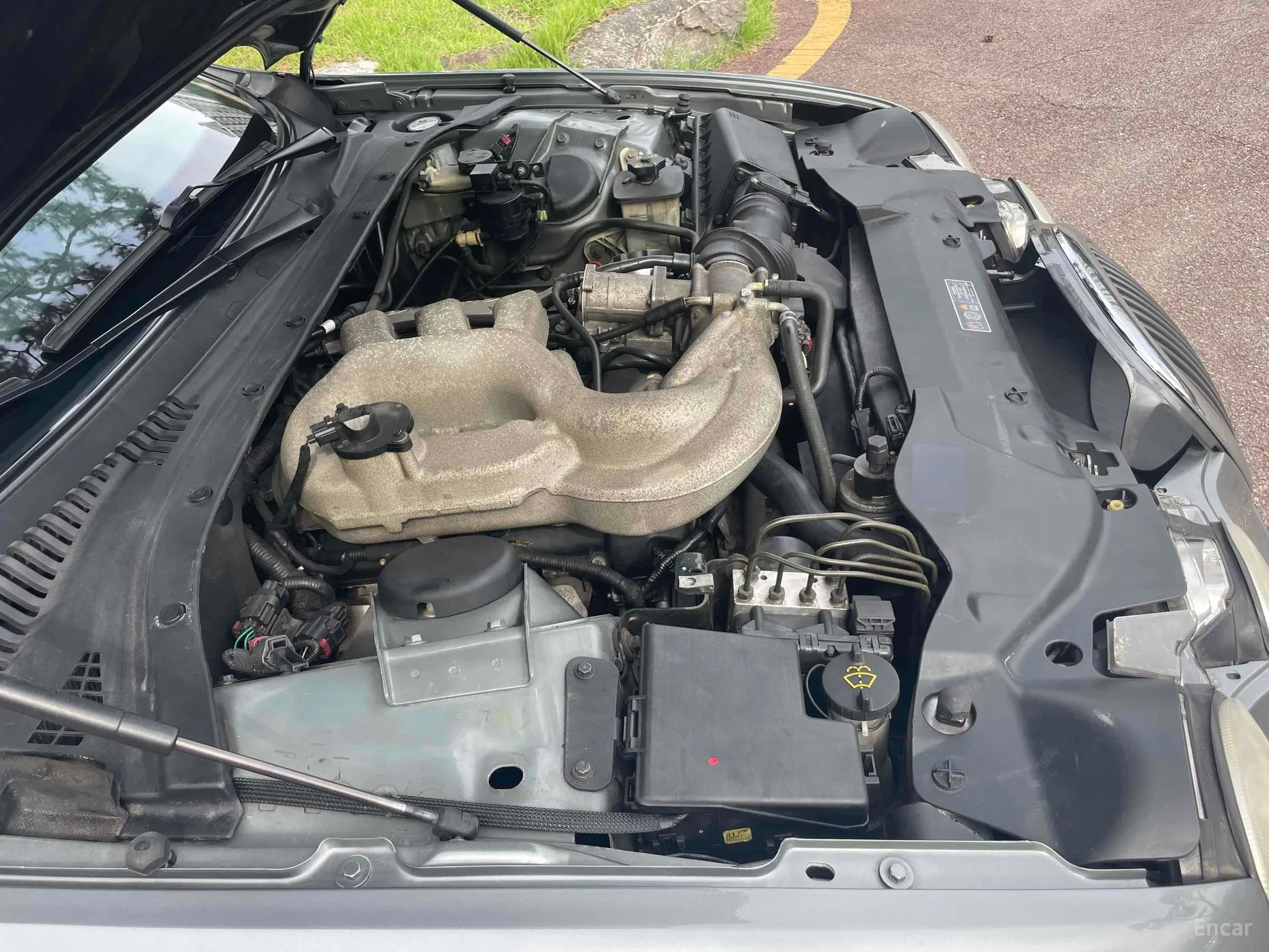 Jaguar %s type. превью 18