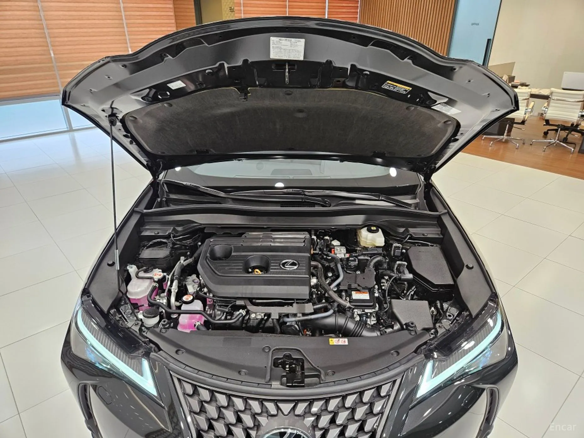 Lexus UX300h превью 7