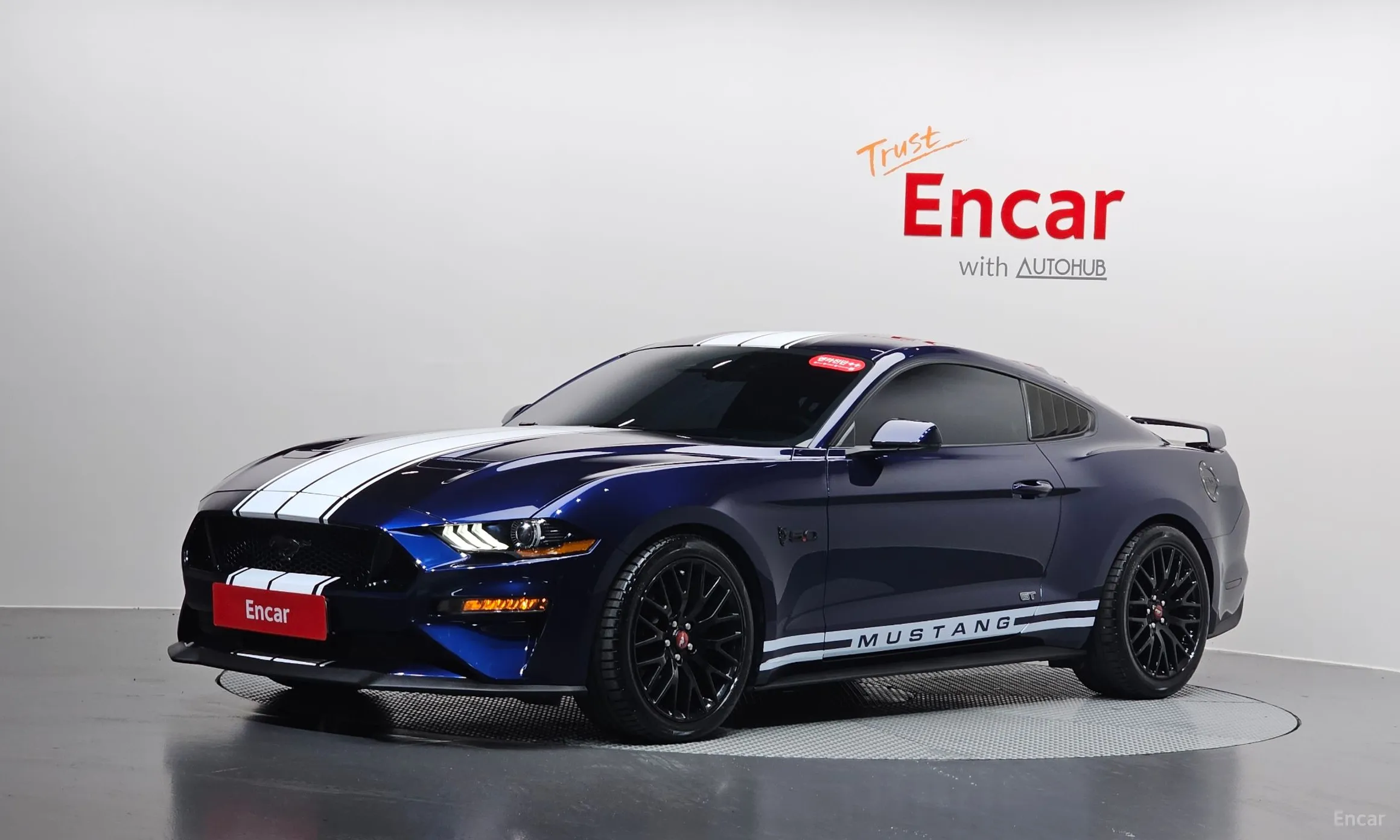 Mustang