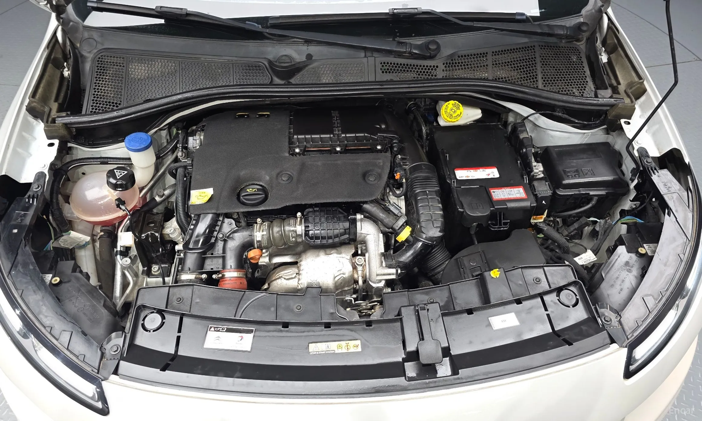 Citroën/DS C4 Cocktooth превью 6