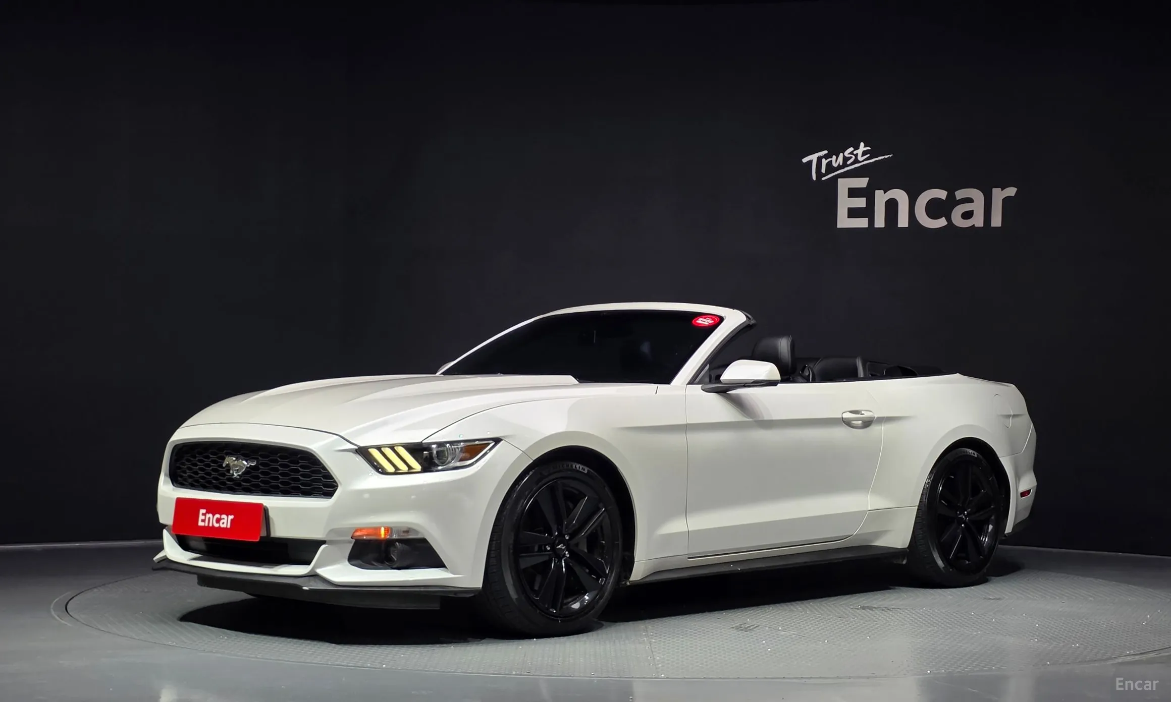 Mustang