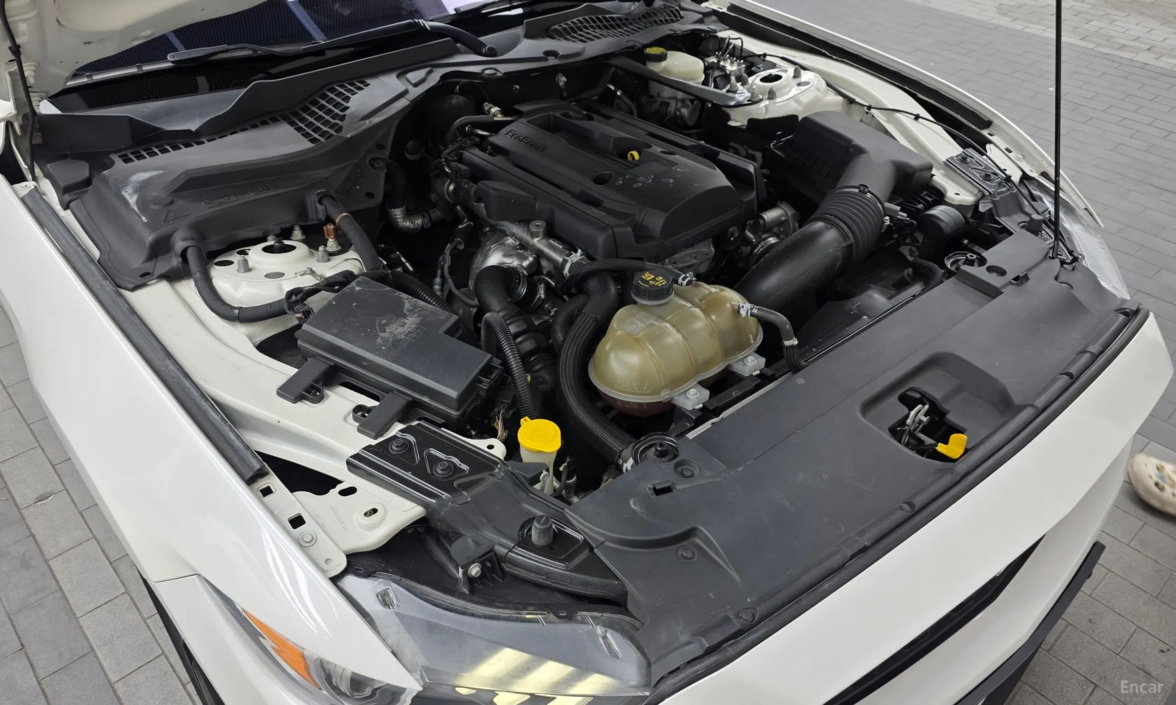Ford Mustang превью 6