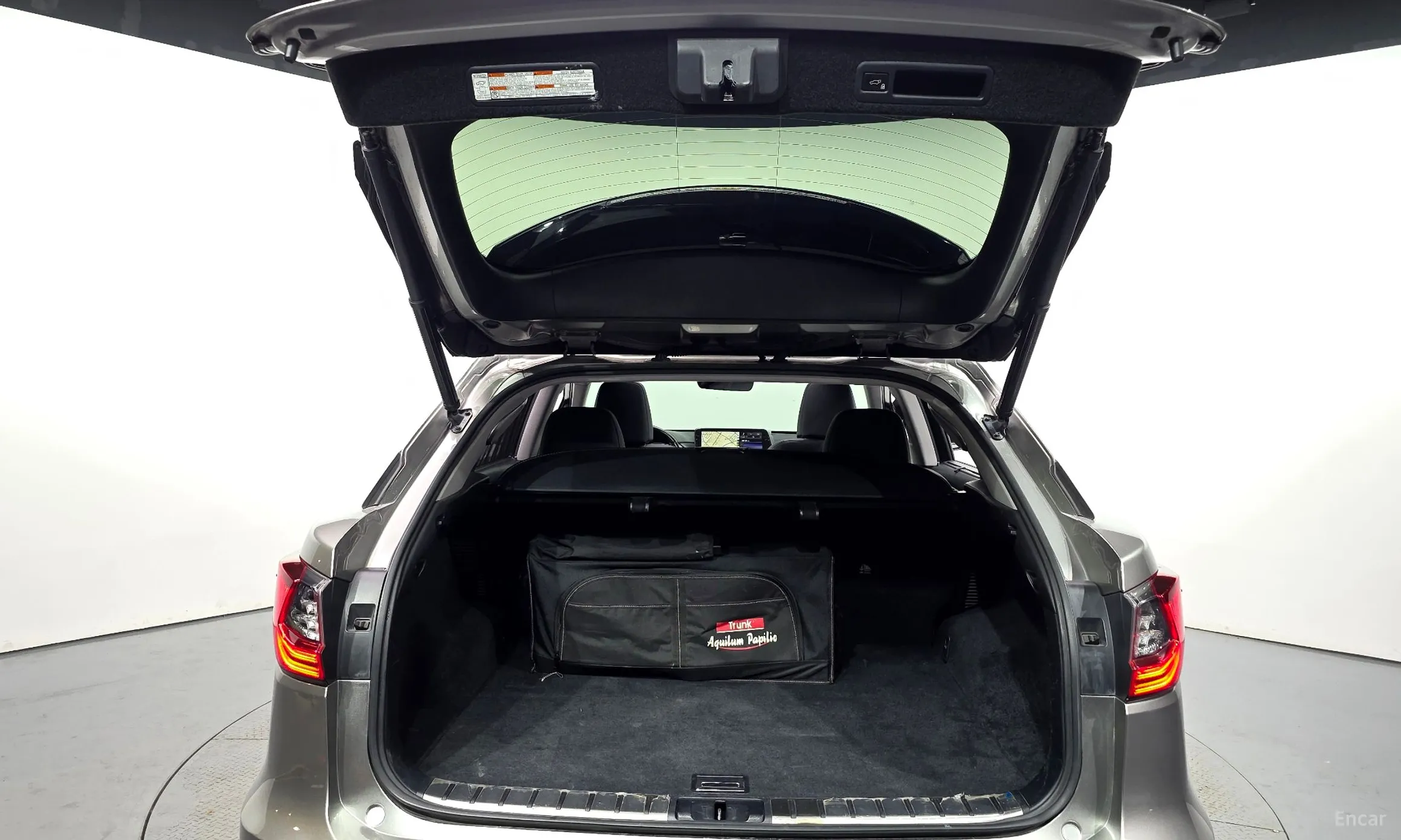 Lexus RX450h Gen 4 превью 20