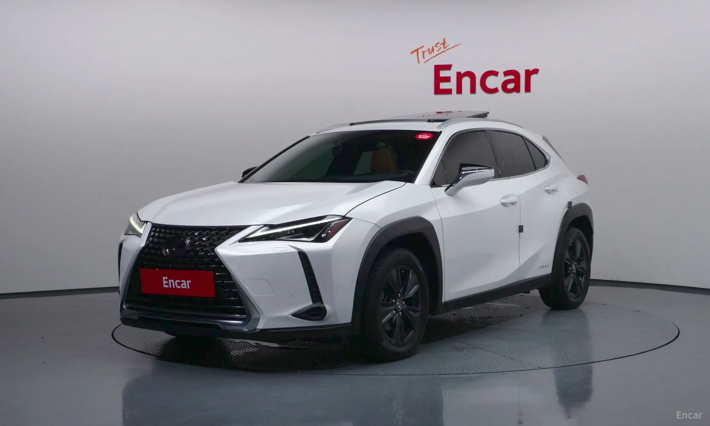 Lexus UX250h