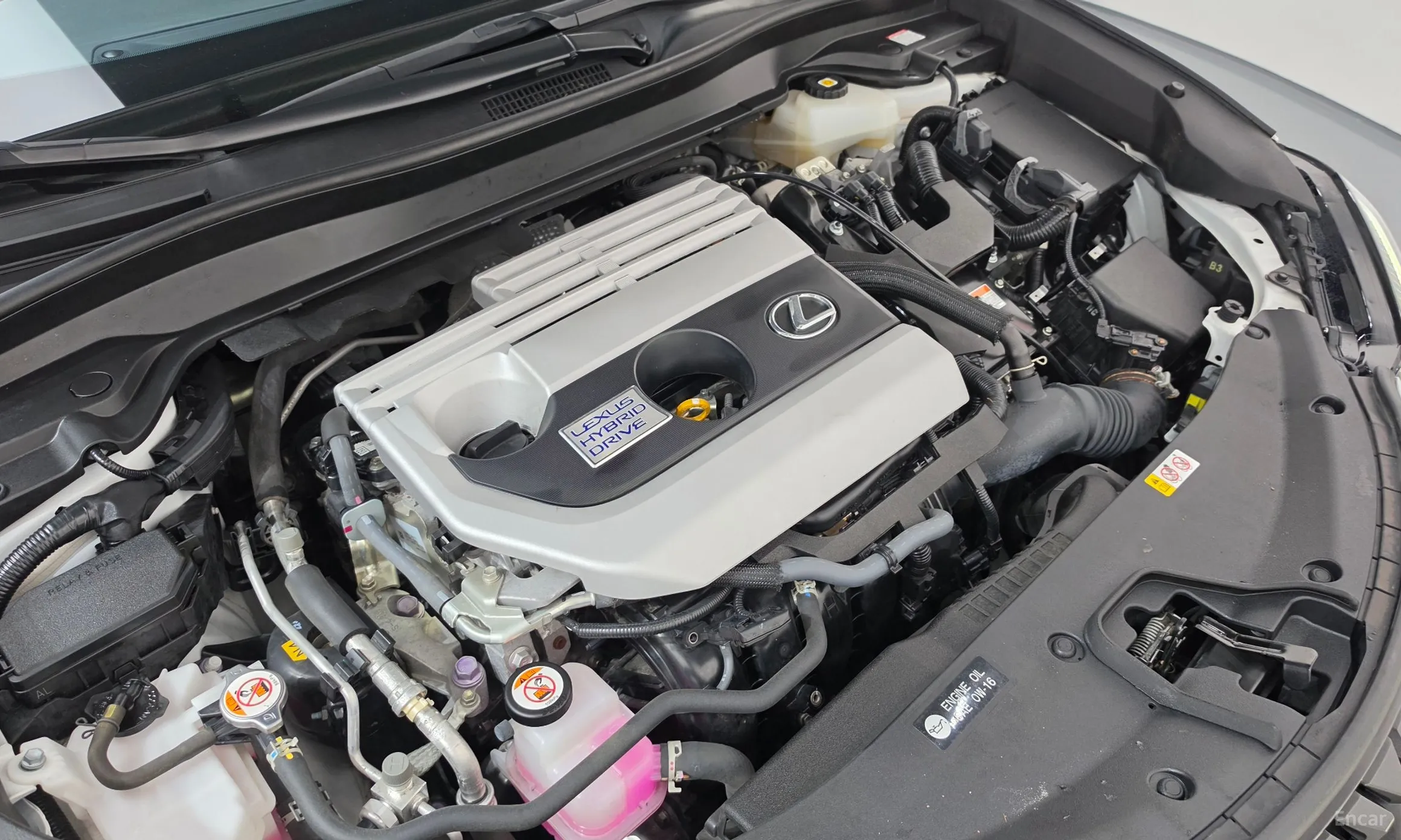 Lexus UX250h превью 6