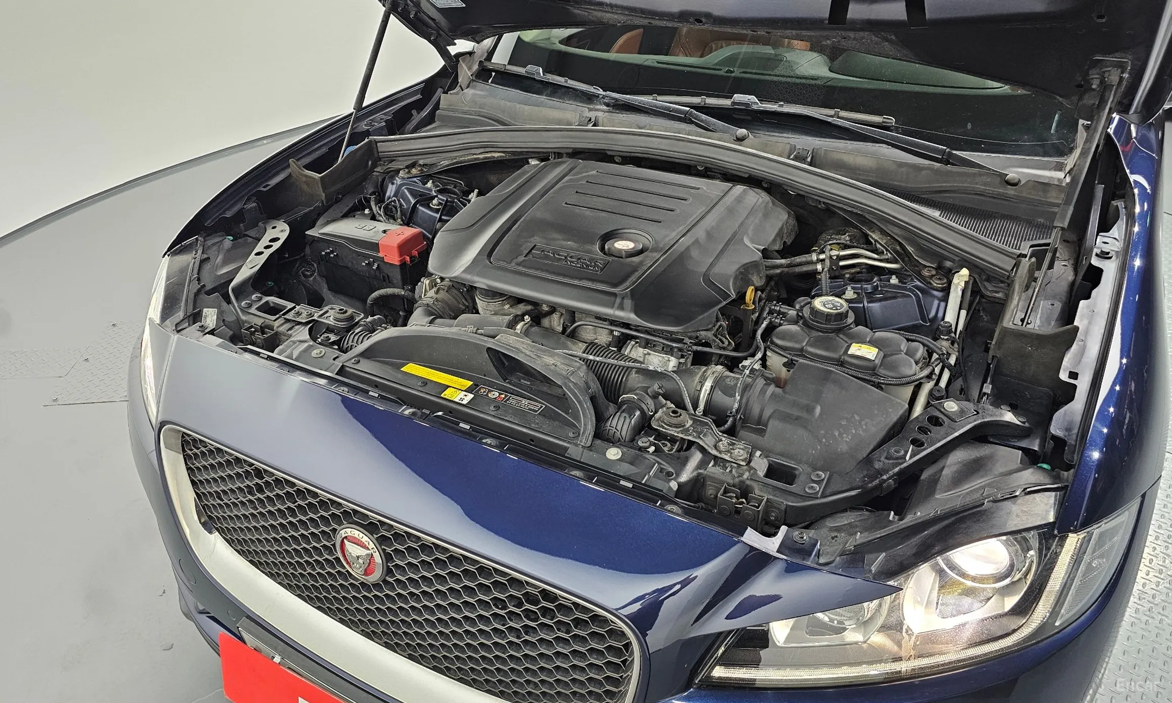 Jaguar F-PACE превью 6