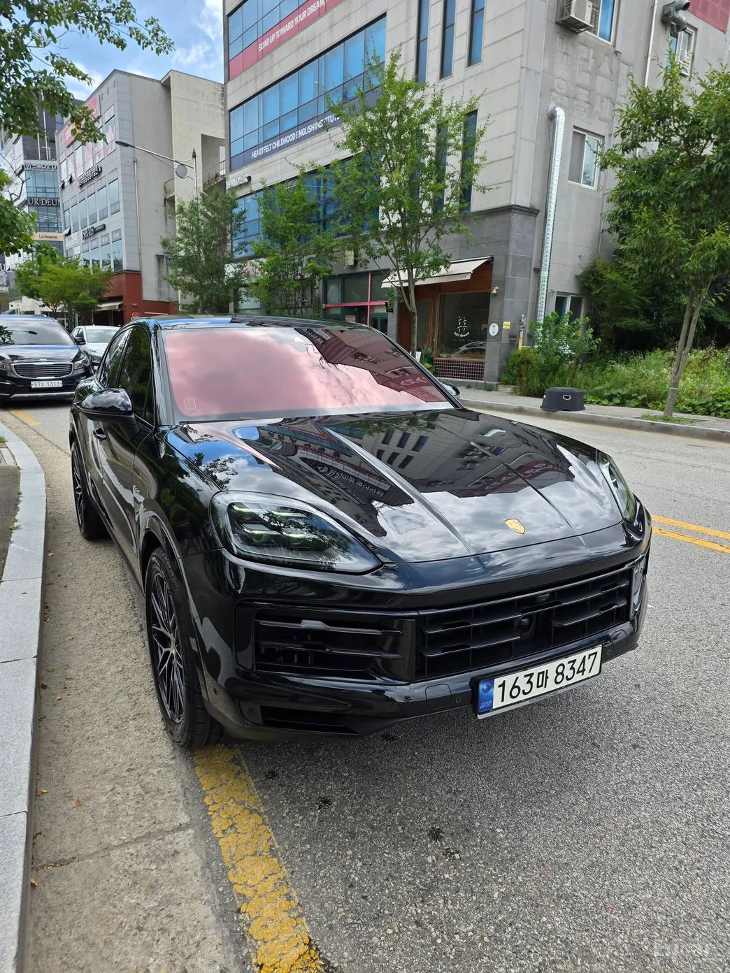 Cayenne (PO536)