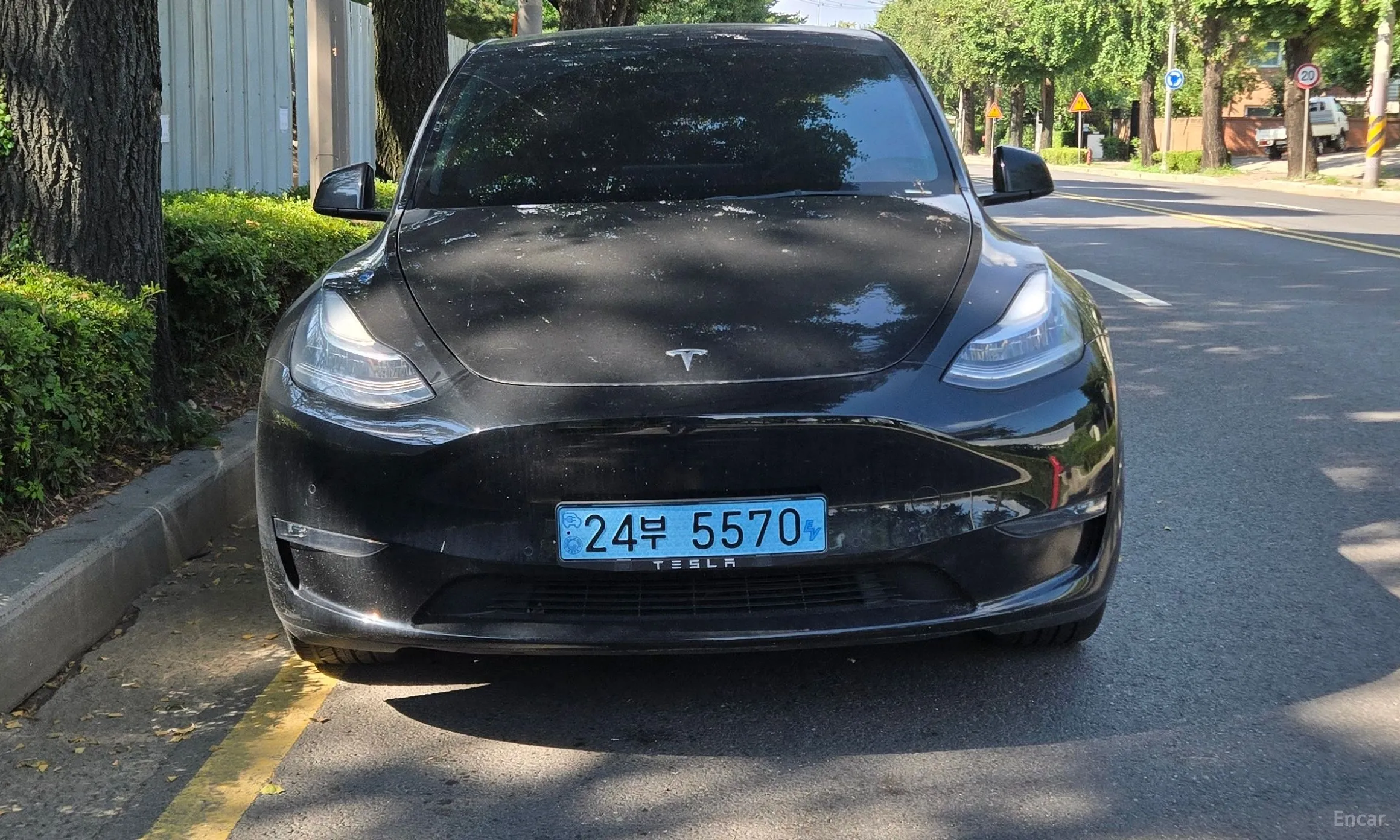 Tesla Model Y превью 3