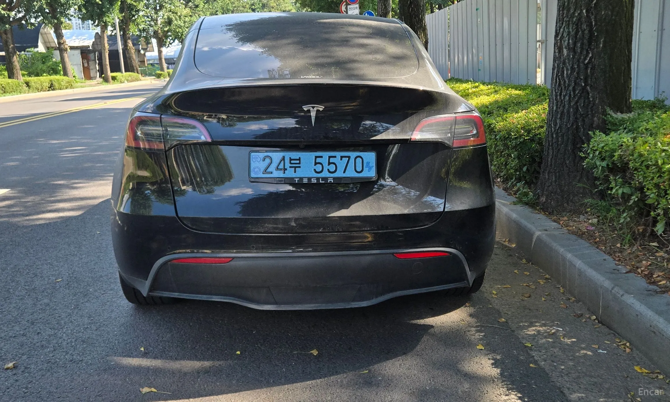 Tesla Model Y превью 4