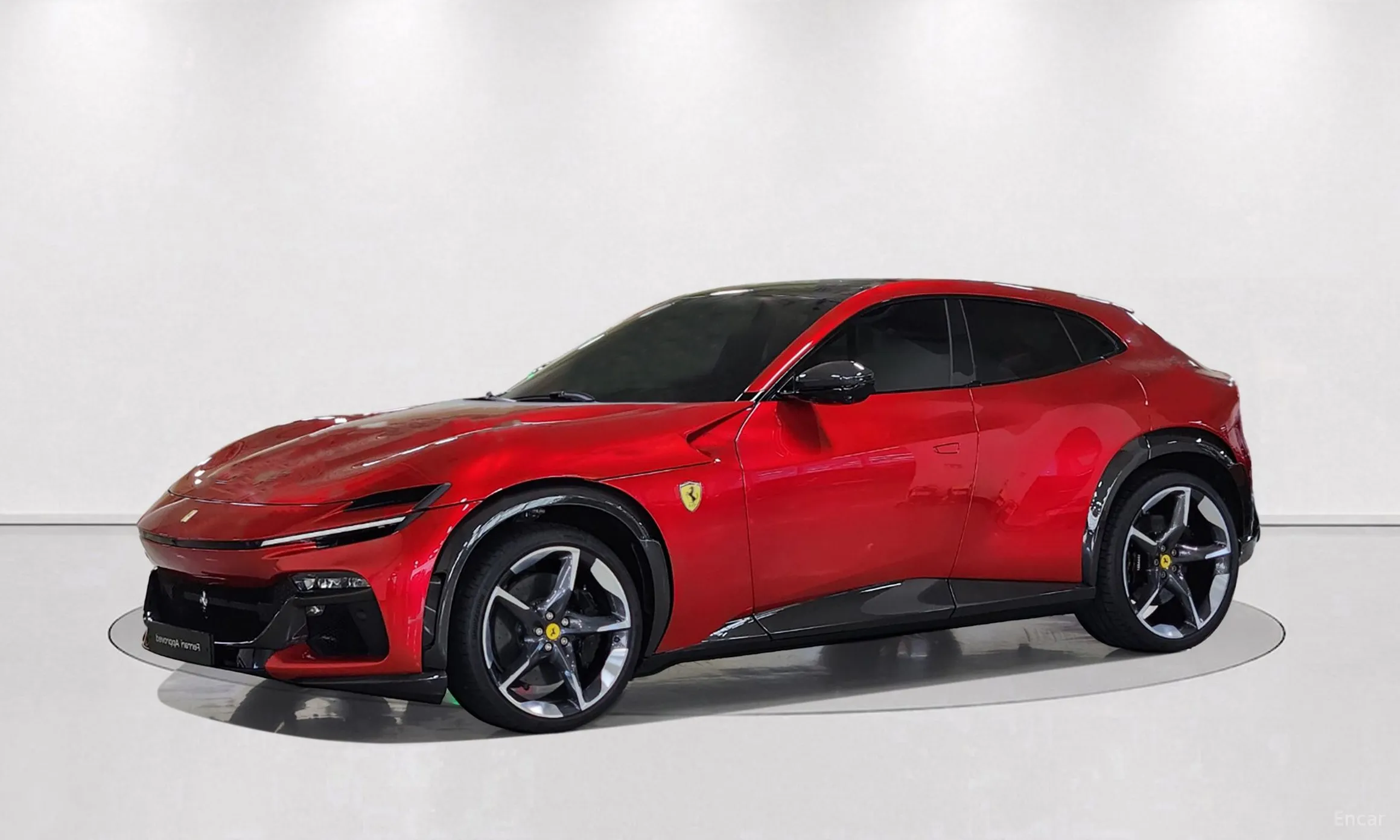 Ferrari Puro Sange превью 9