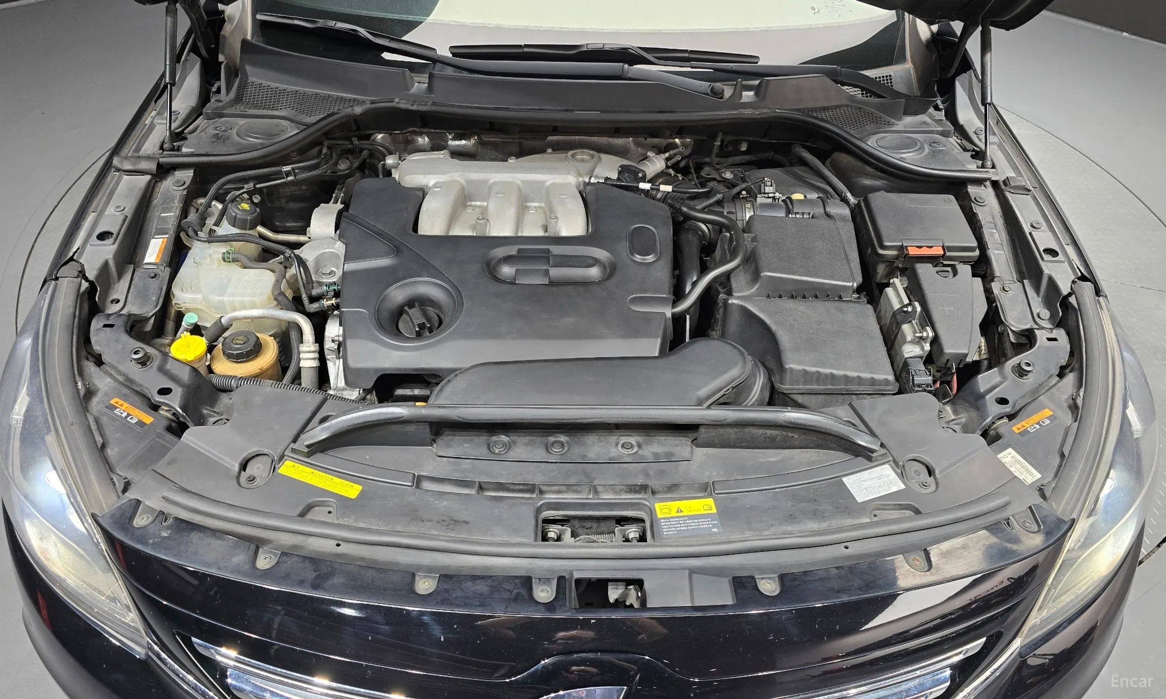 Renault Korea (Samsung) SM7 превью 6