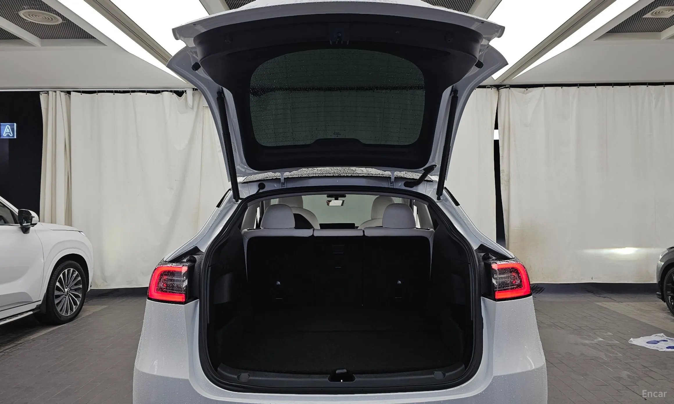Tesla Model Y превью 20