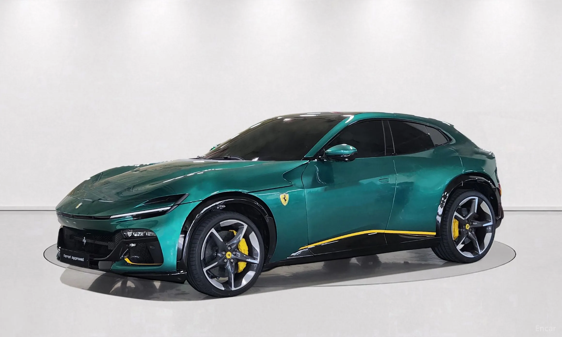 Ferrari Puro Sange превью 9