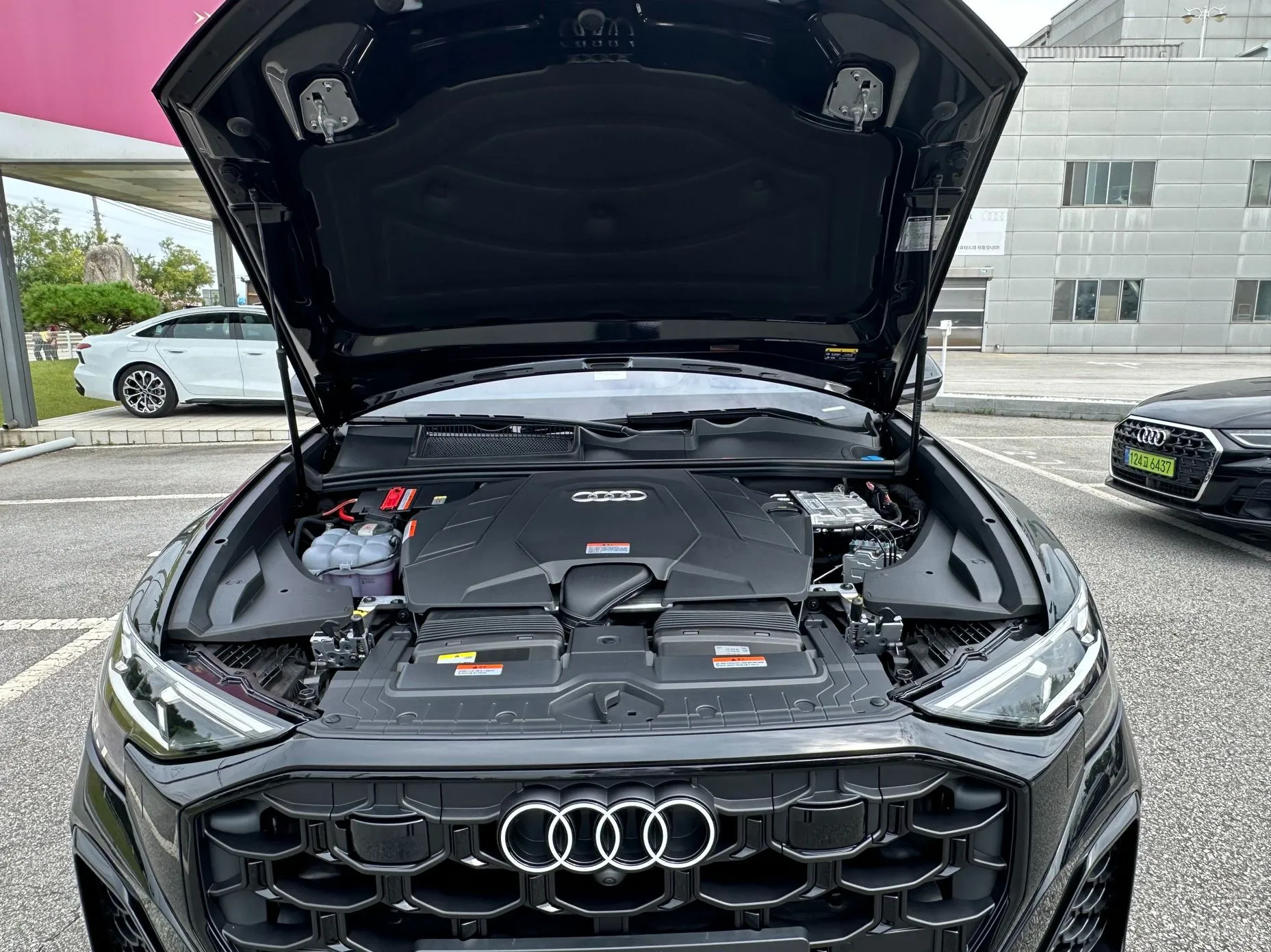 Audi Q8 (4M) превью 6